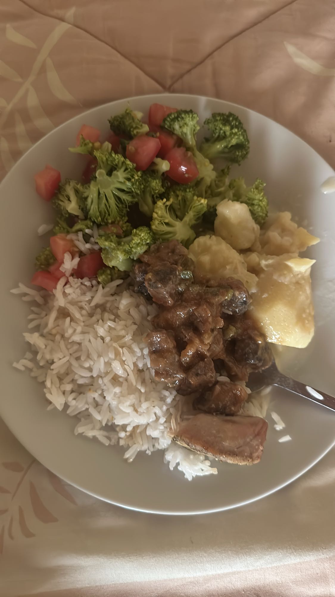 Plato mixto con arroz y carne