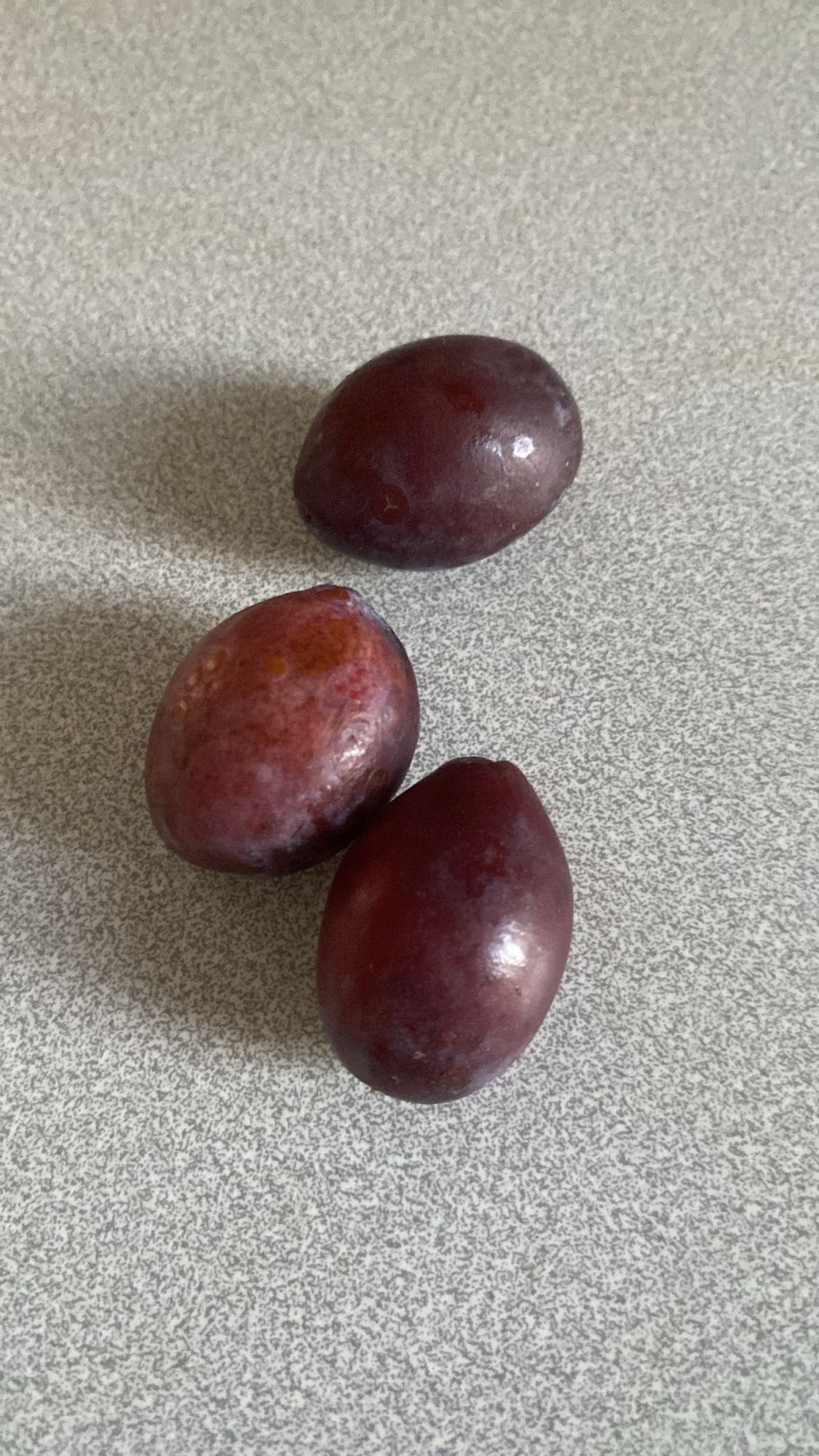 Trois prunes fraîches