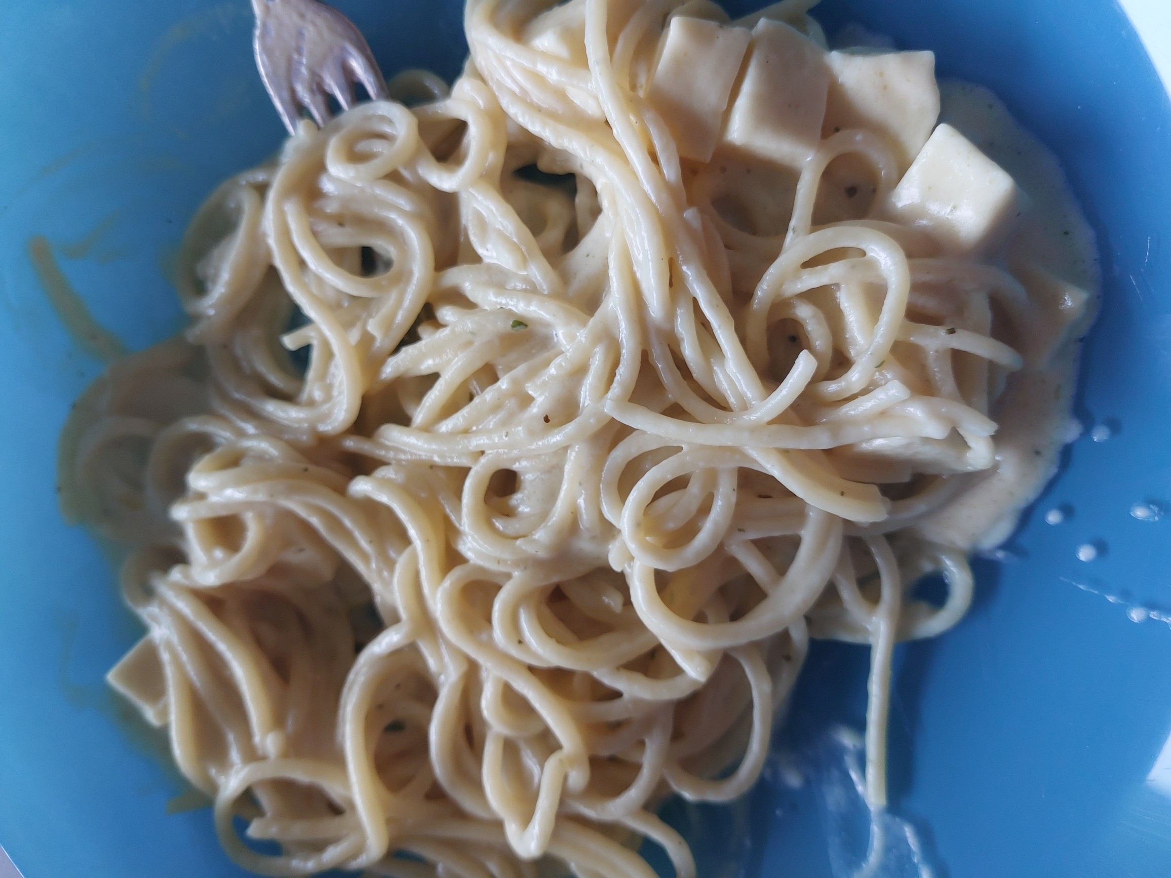 Spaghetti met roomsaus en kaas