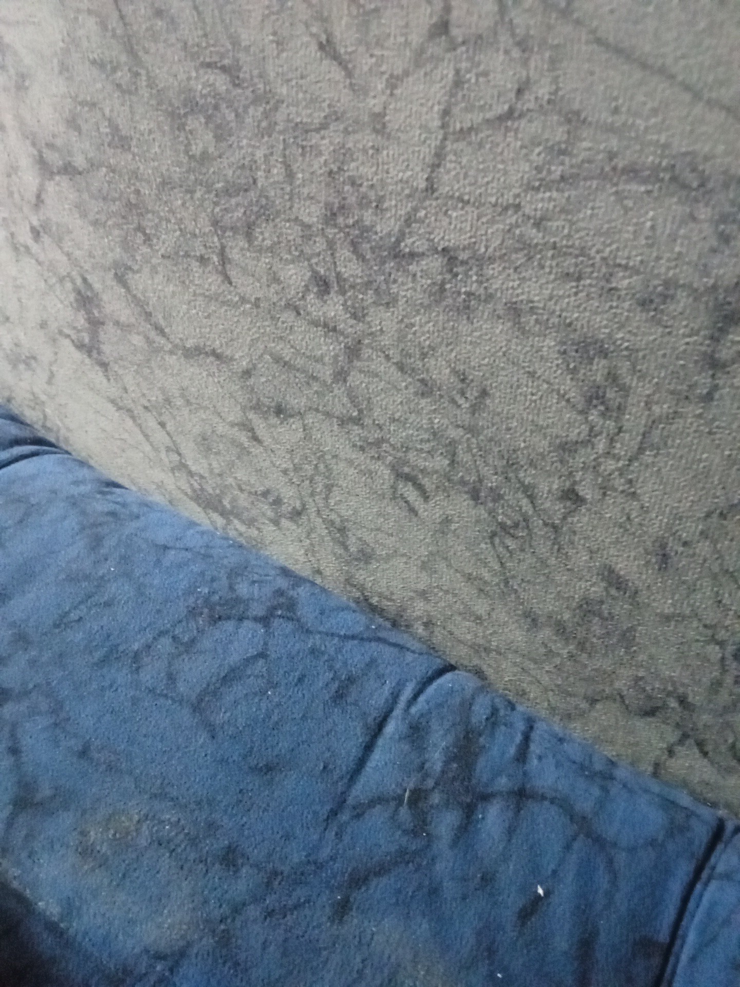 ningún alimento visible