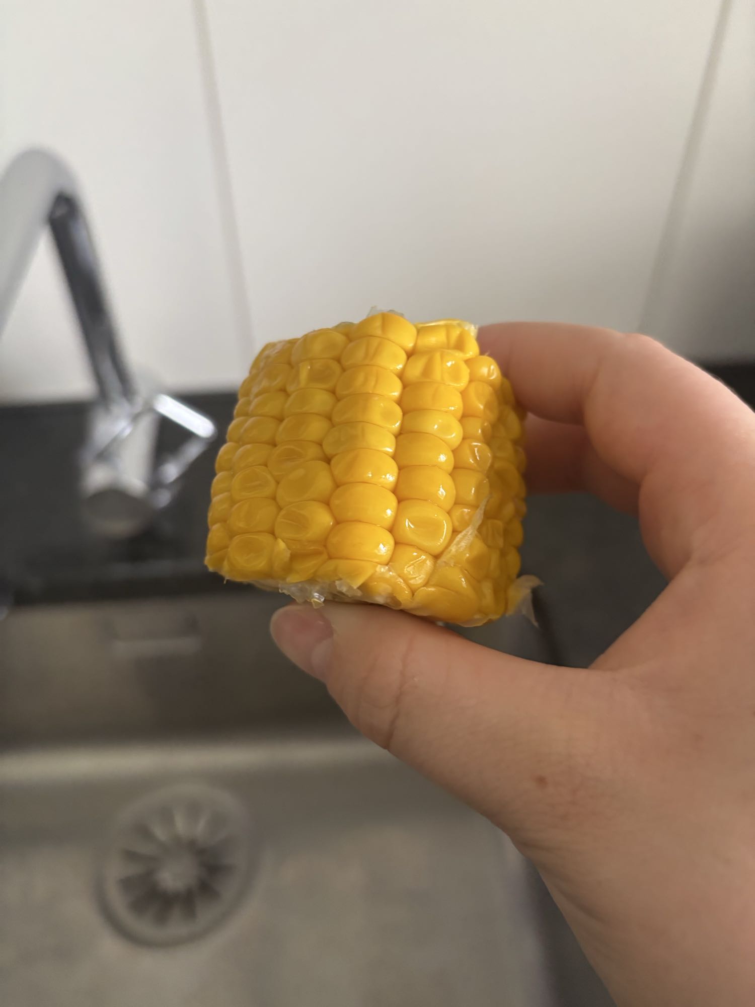 Boiled Corn Piece