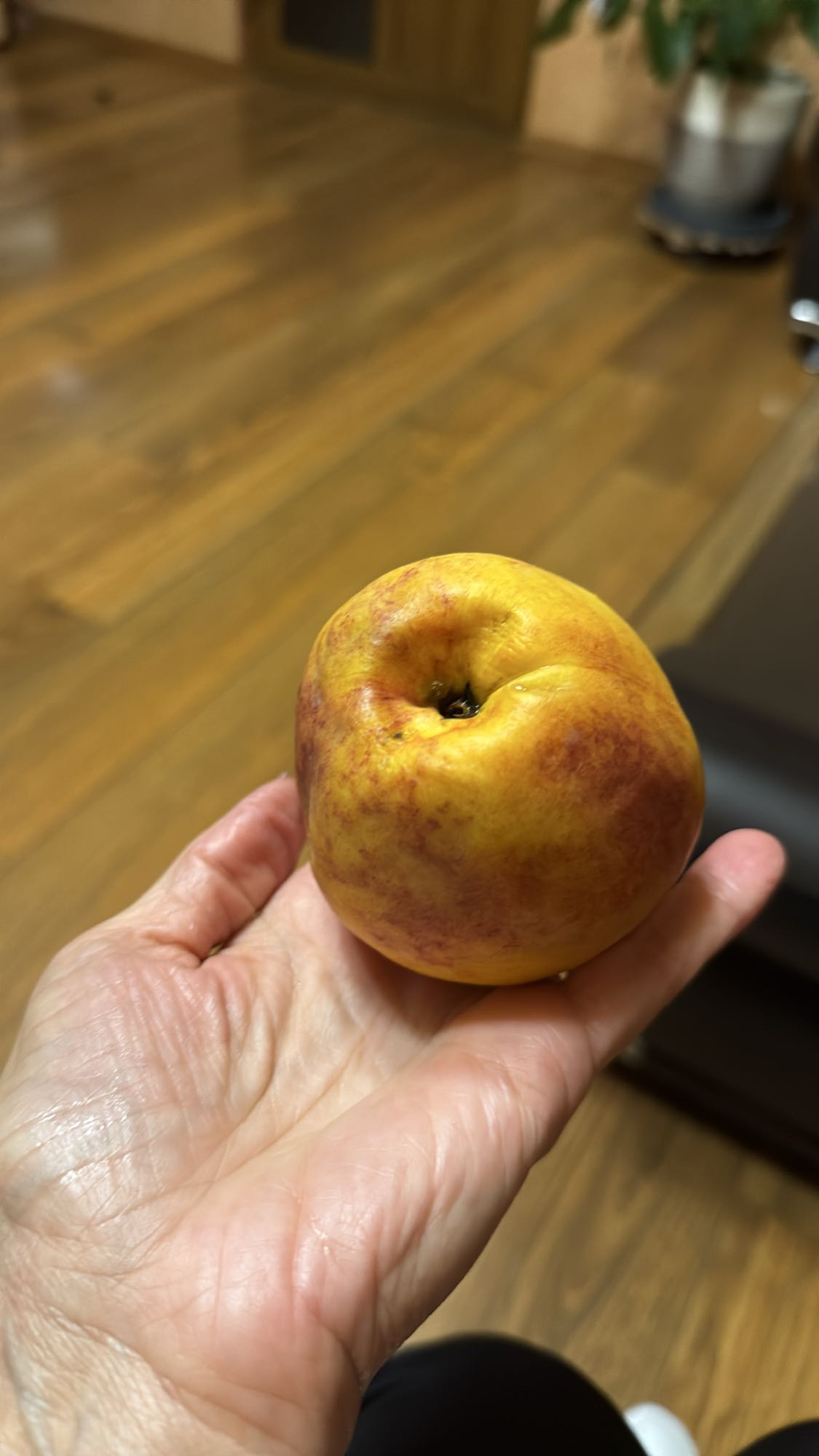 Piersică proaspătă