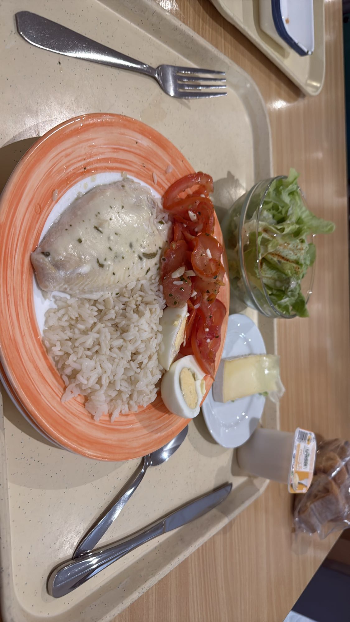 Poulet riz et salade