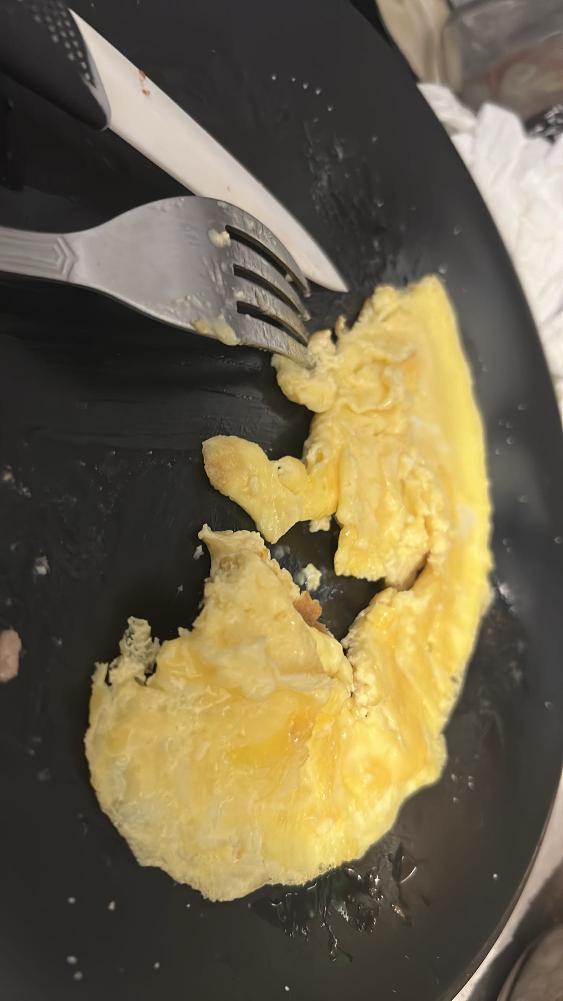 Omelette nature