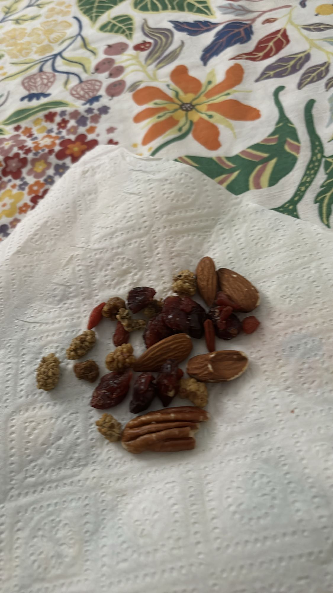 Mélange de fruits secs