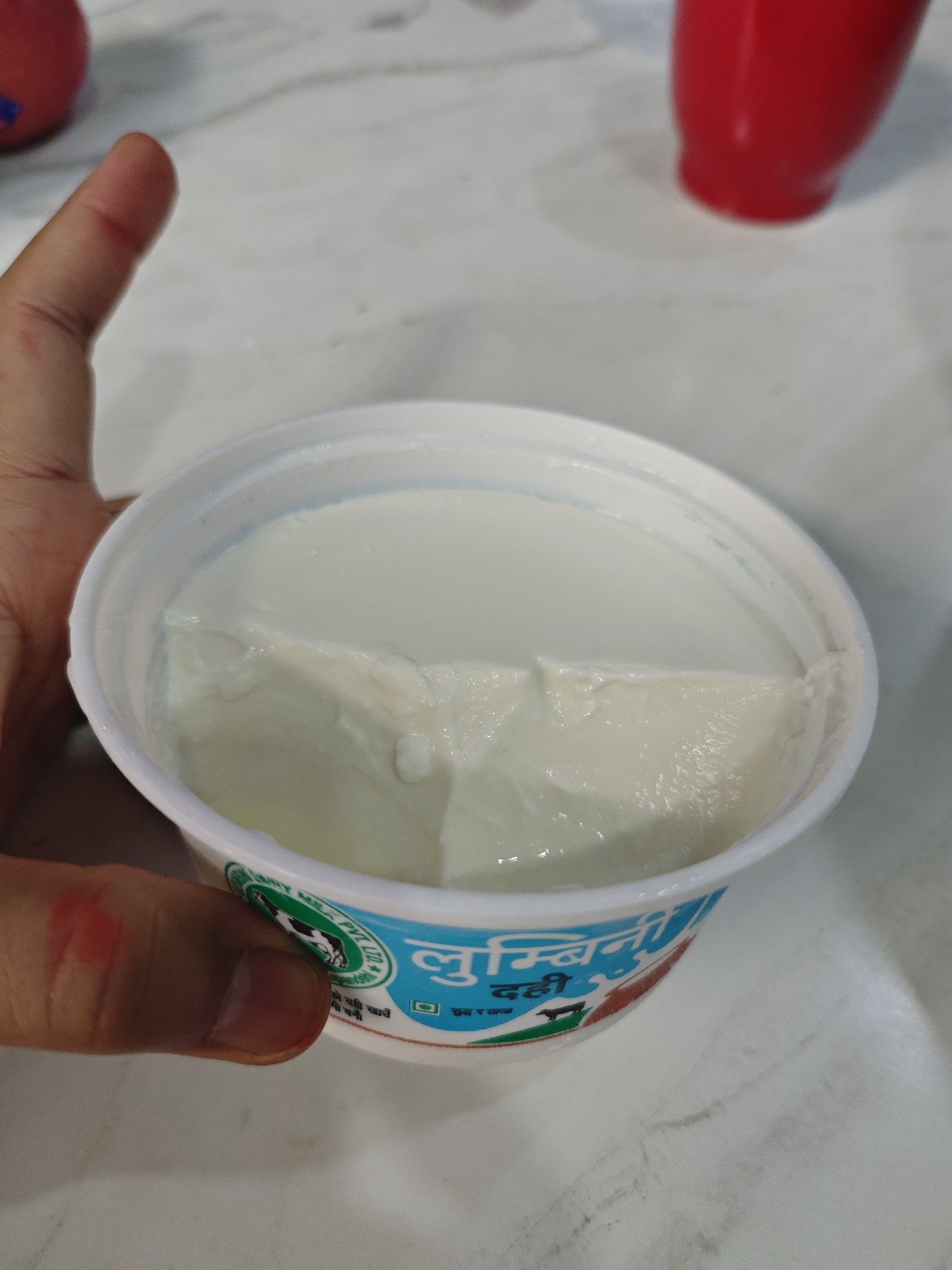 Plain Yogurt Cup