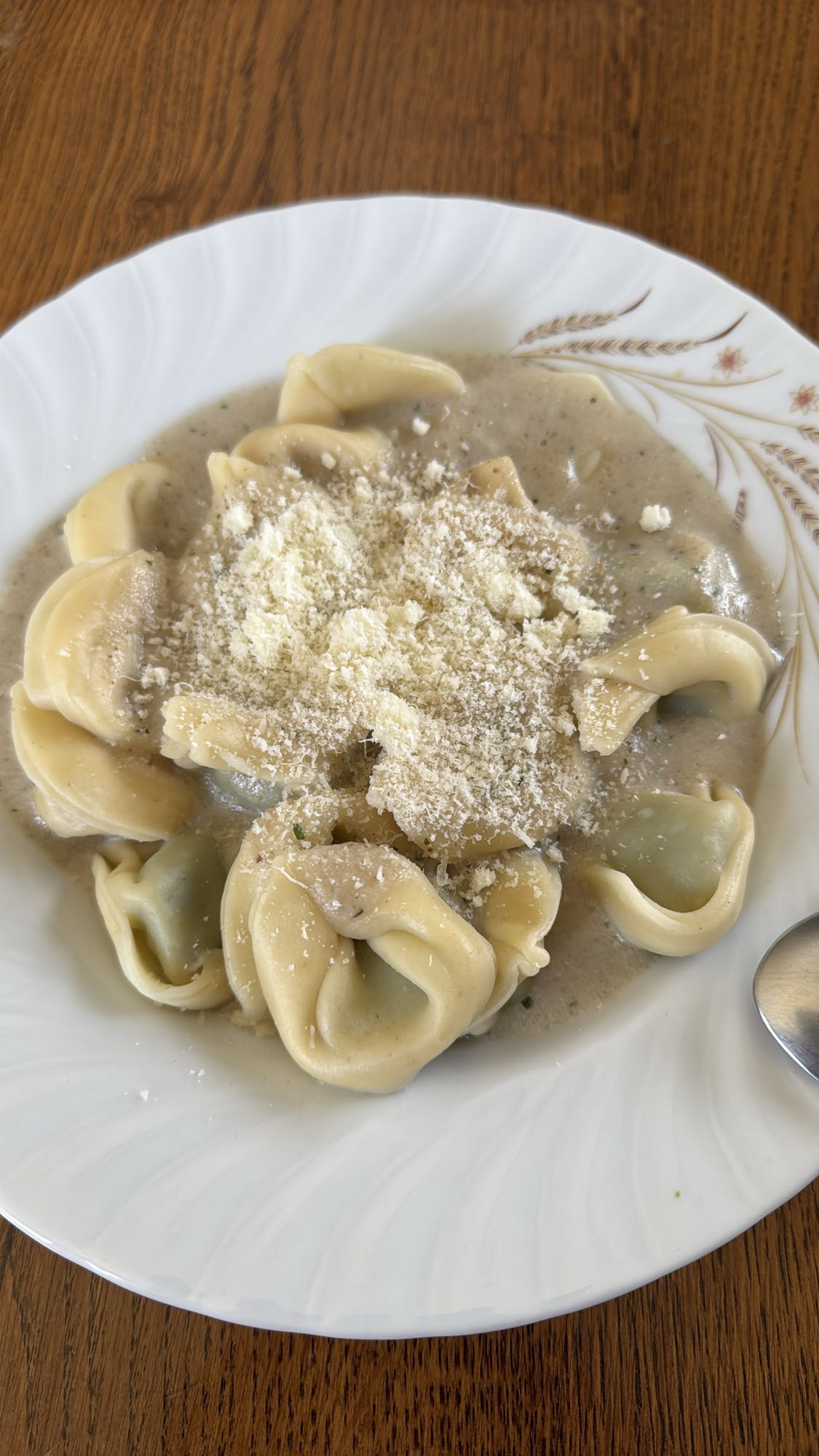 Tortellini with mushroom sauce