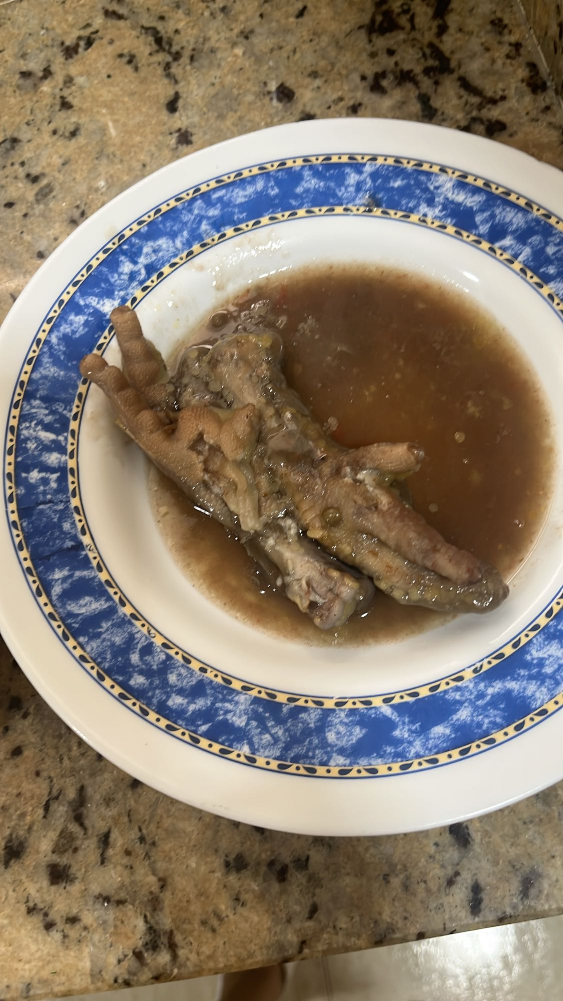 Sopa de pata de pollo