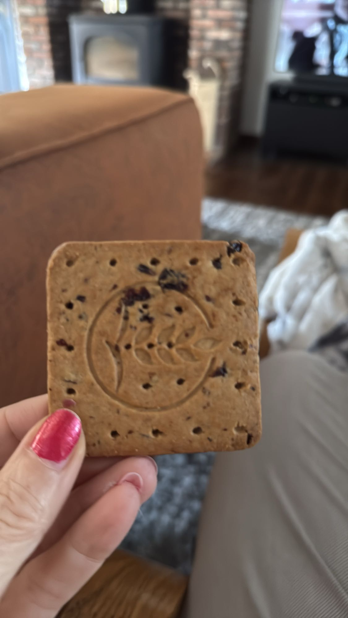 volkoren rozijnenkoekje