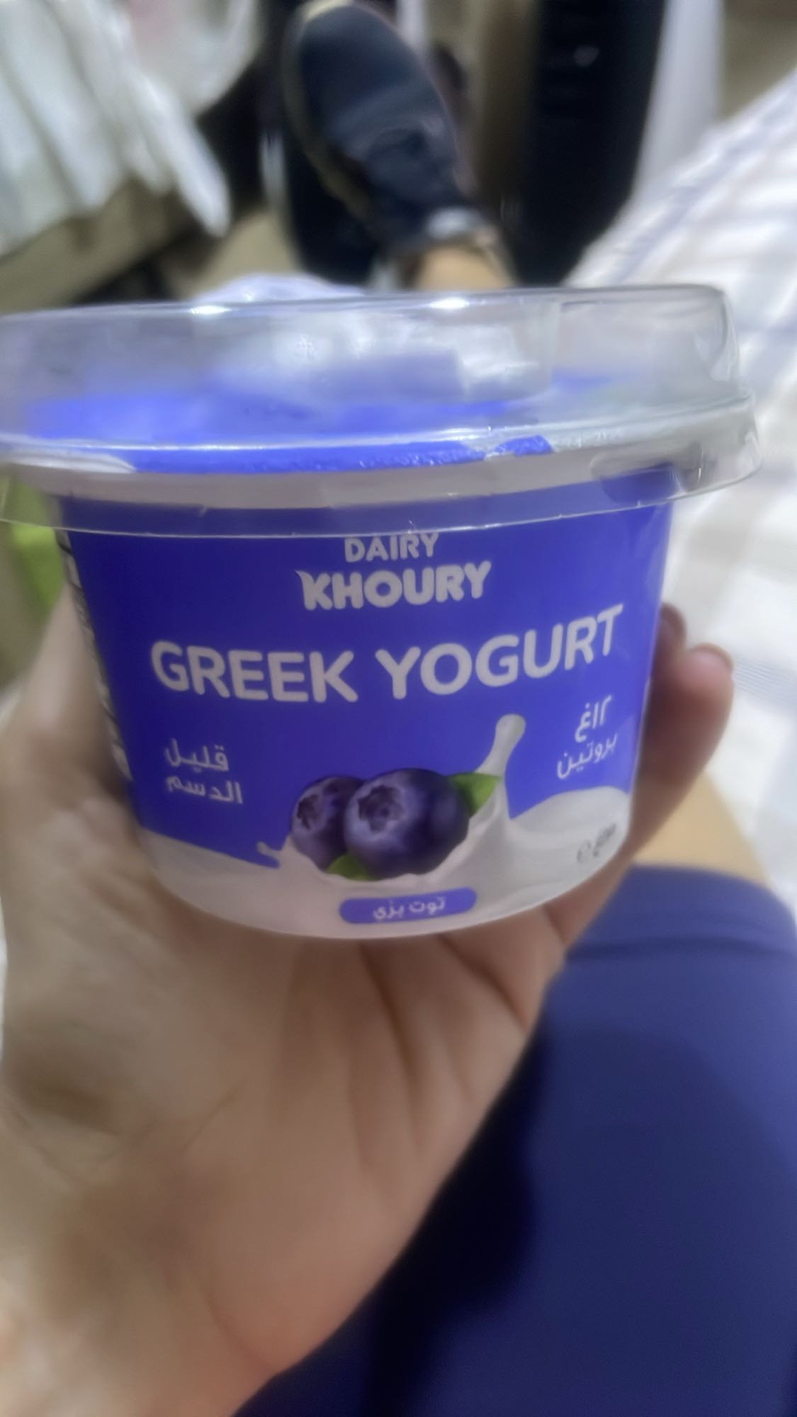 Blueberry Greek Yogurt