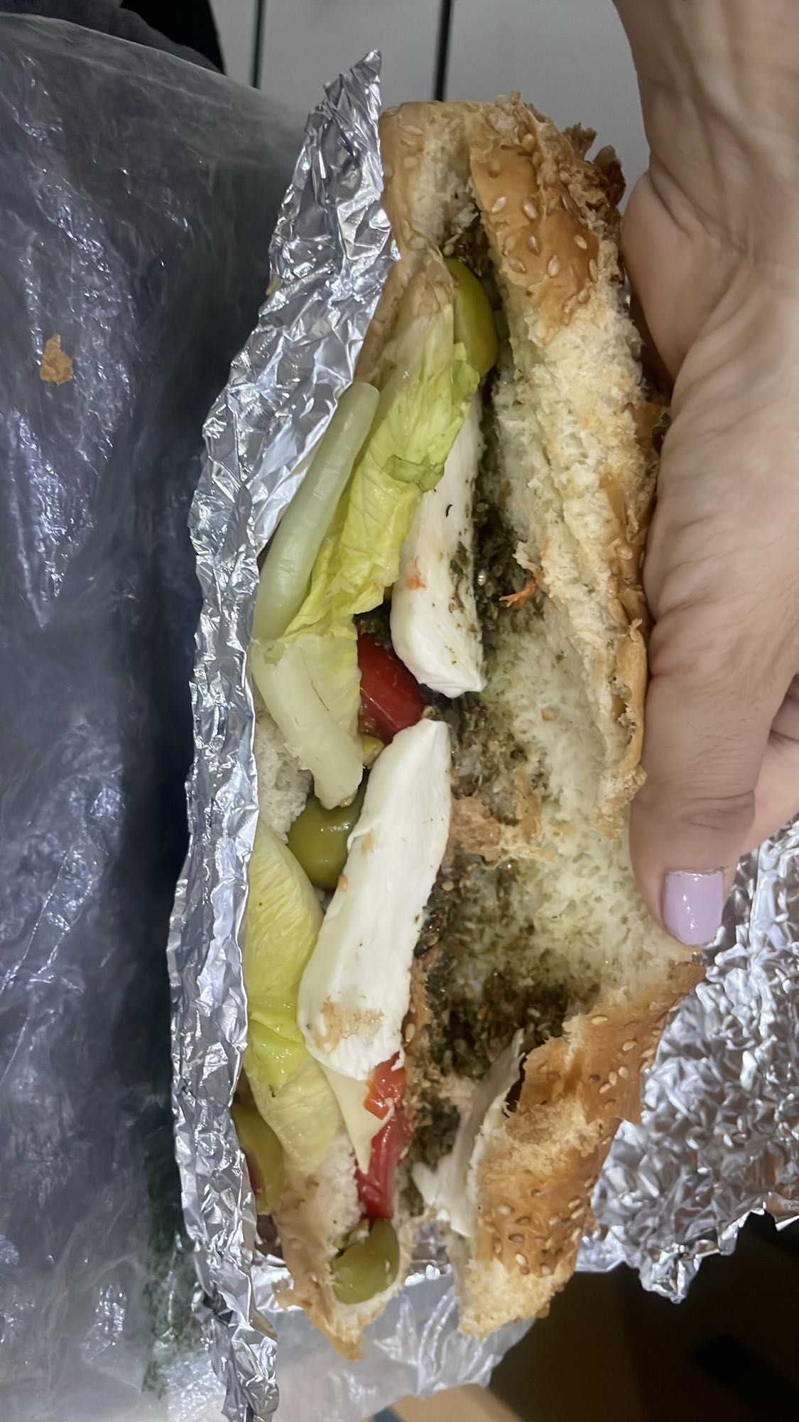 Mozzarella Veggie Sandwich