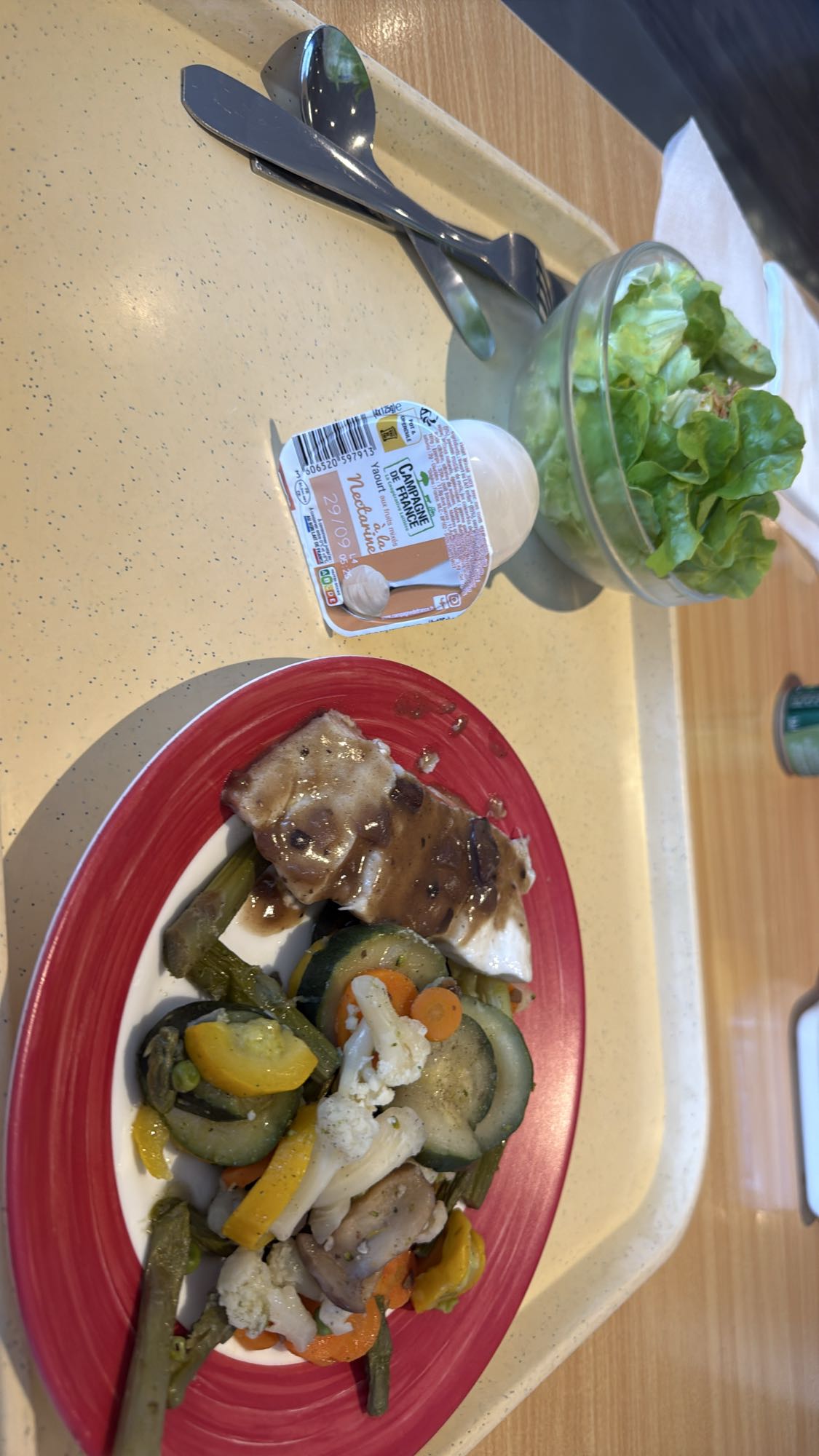 Poisson, légumes, salade, yaourt