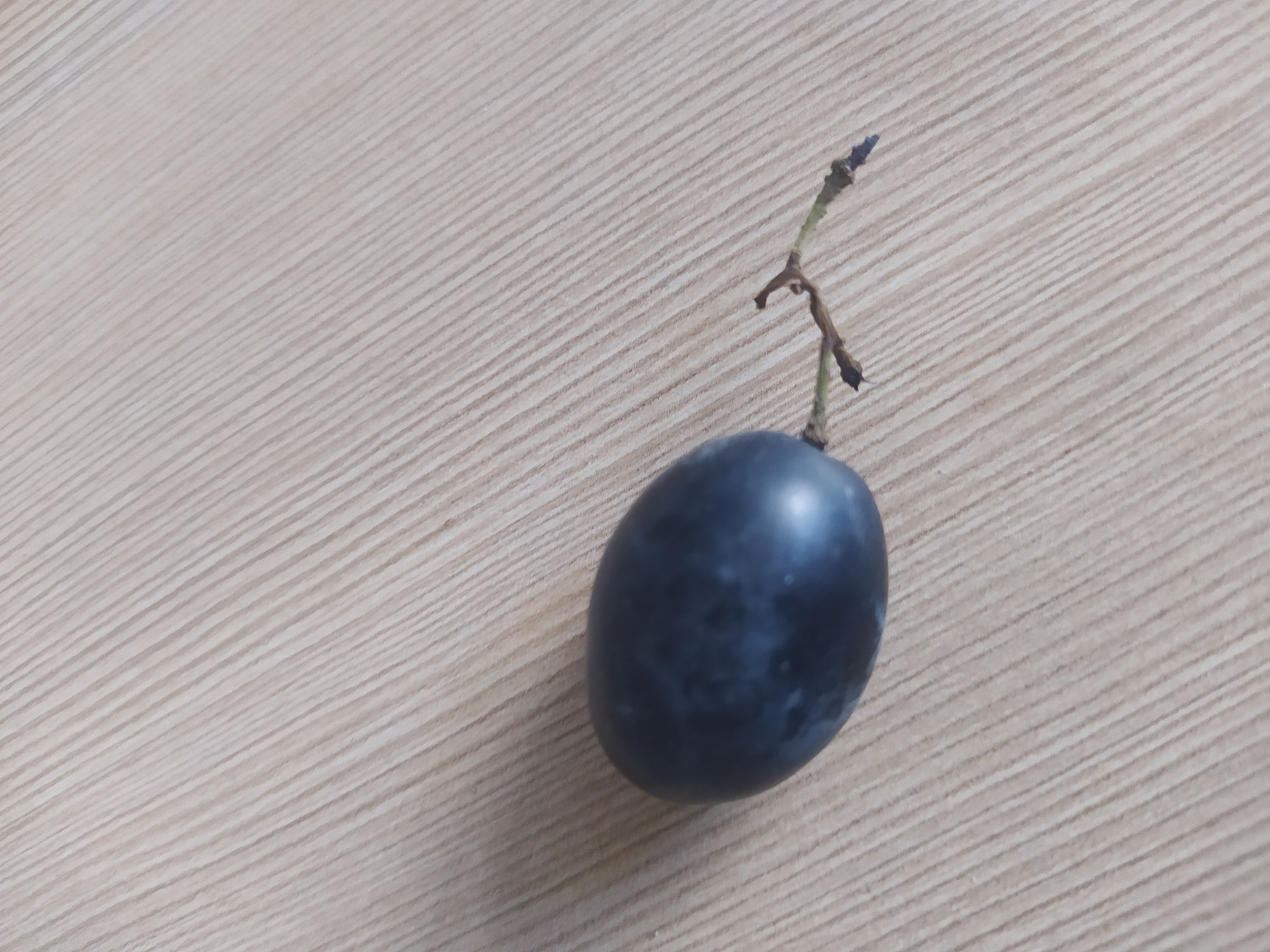 Single Black Grape