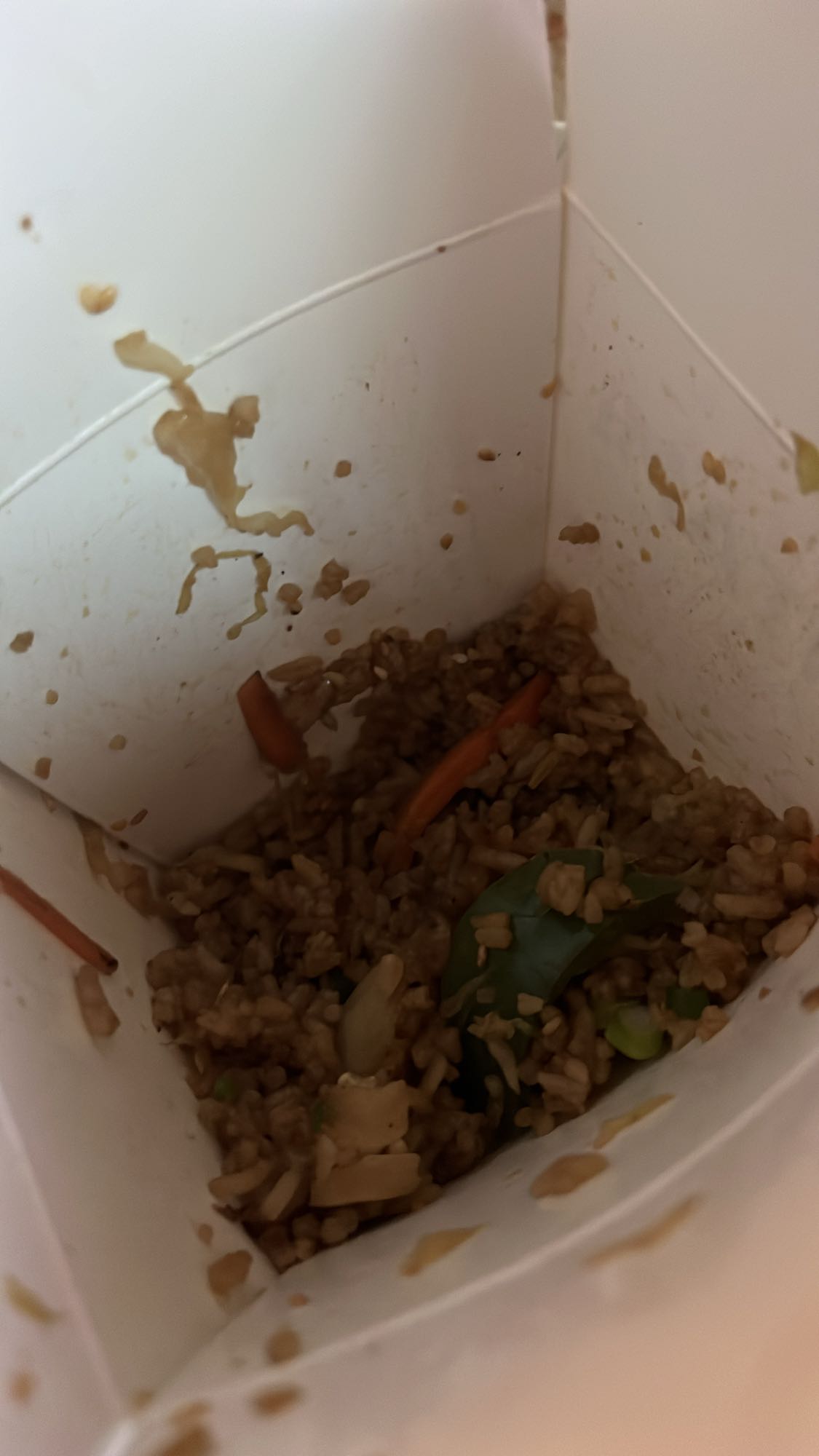 Vegetable Fried Rice (leftover)