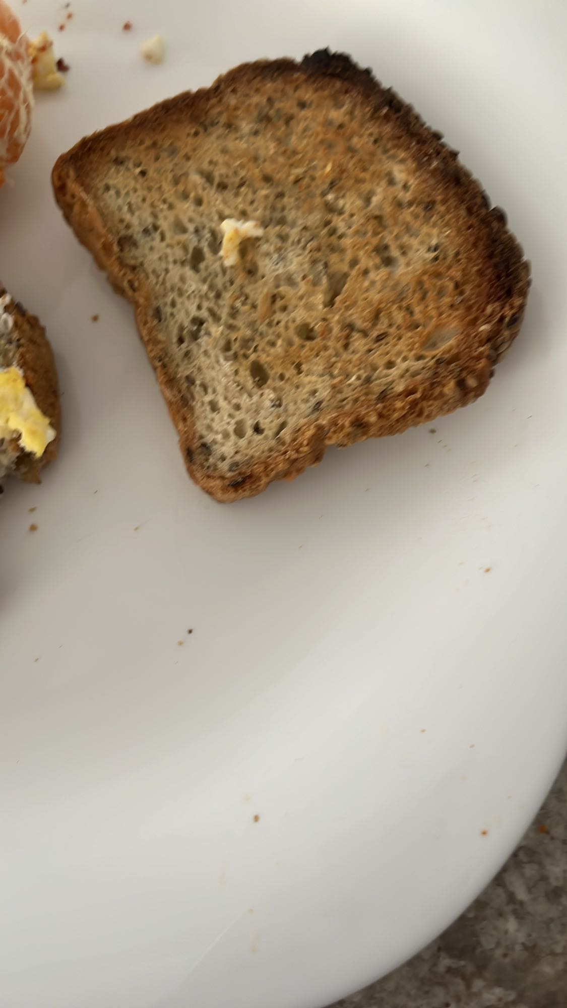 tostada de pan integral