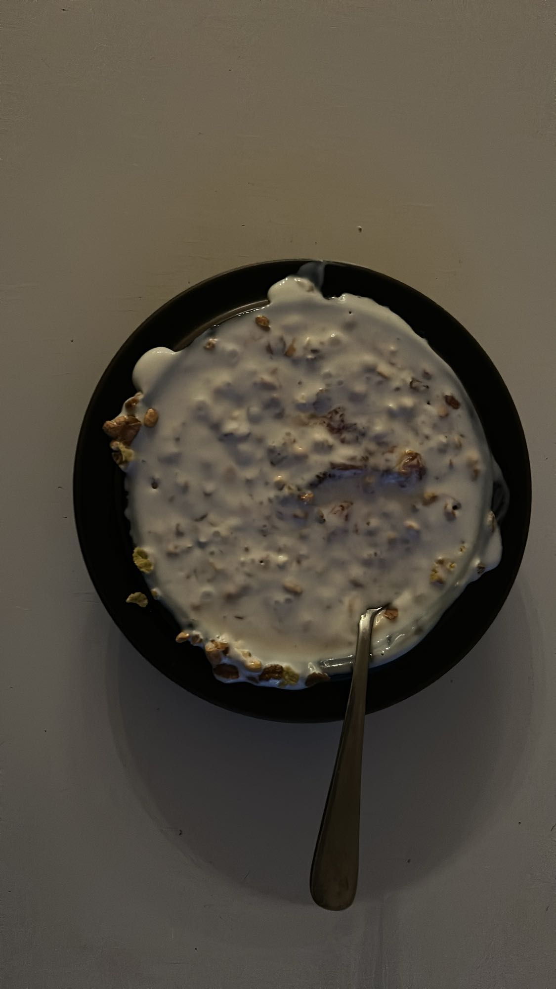Yoghurt med müsli