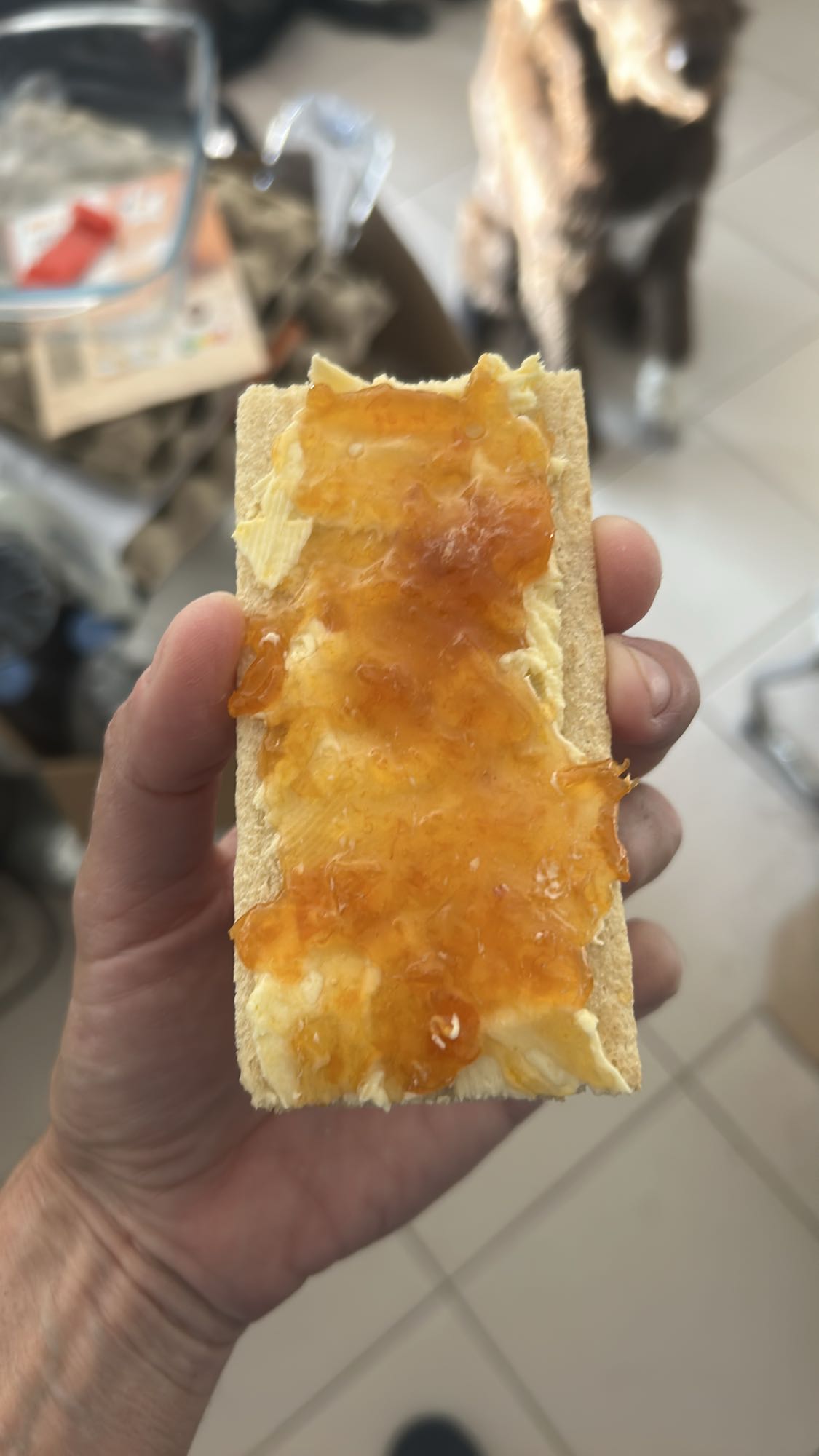 Tartine craquante confiture