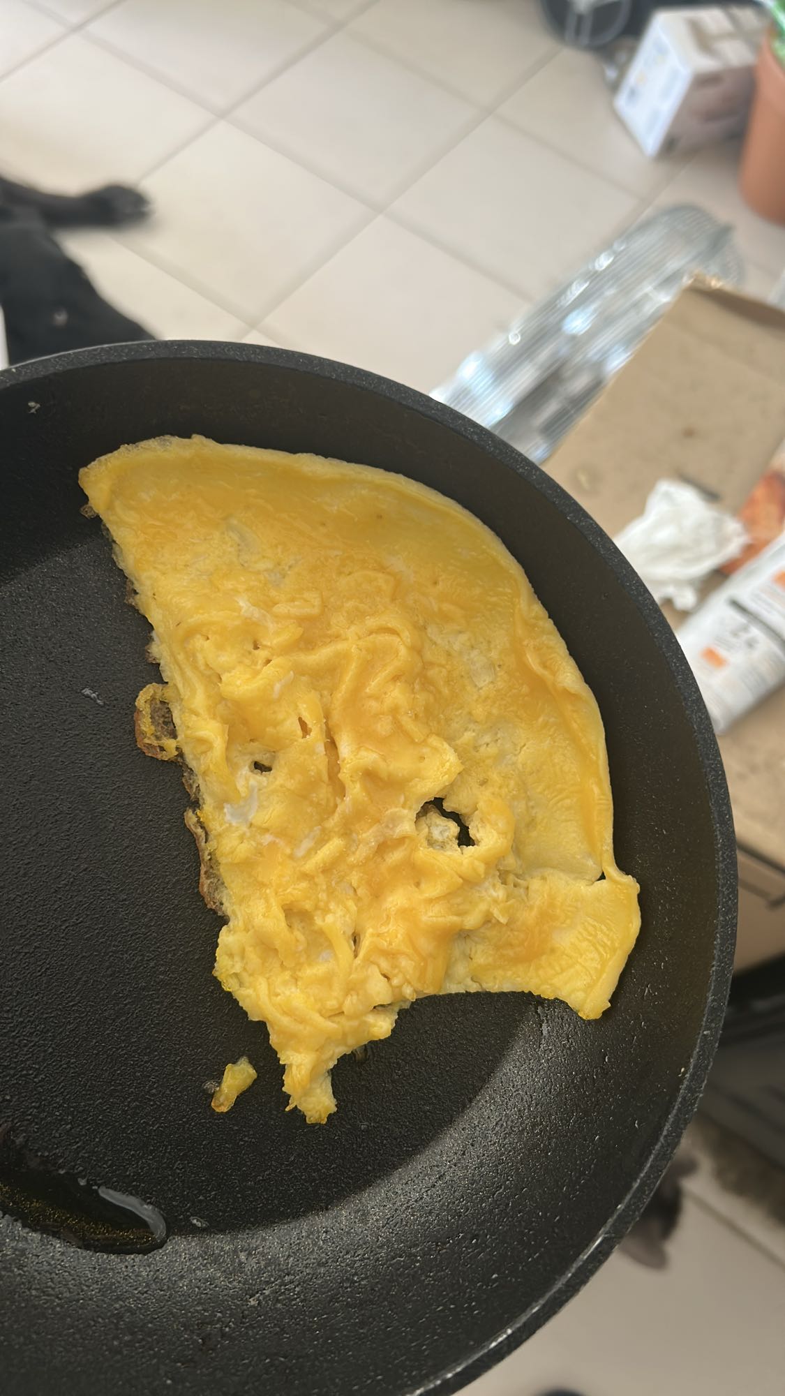 Omelette nature