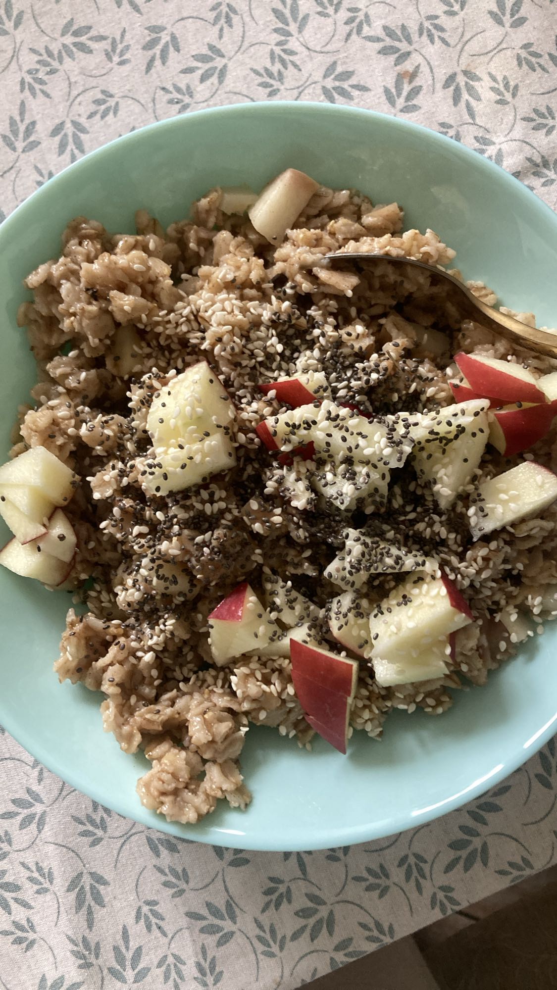Apple Oatmeal Bowl