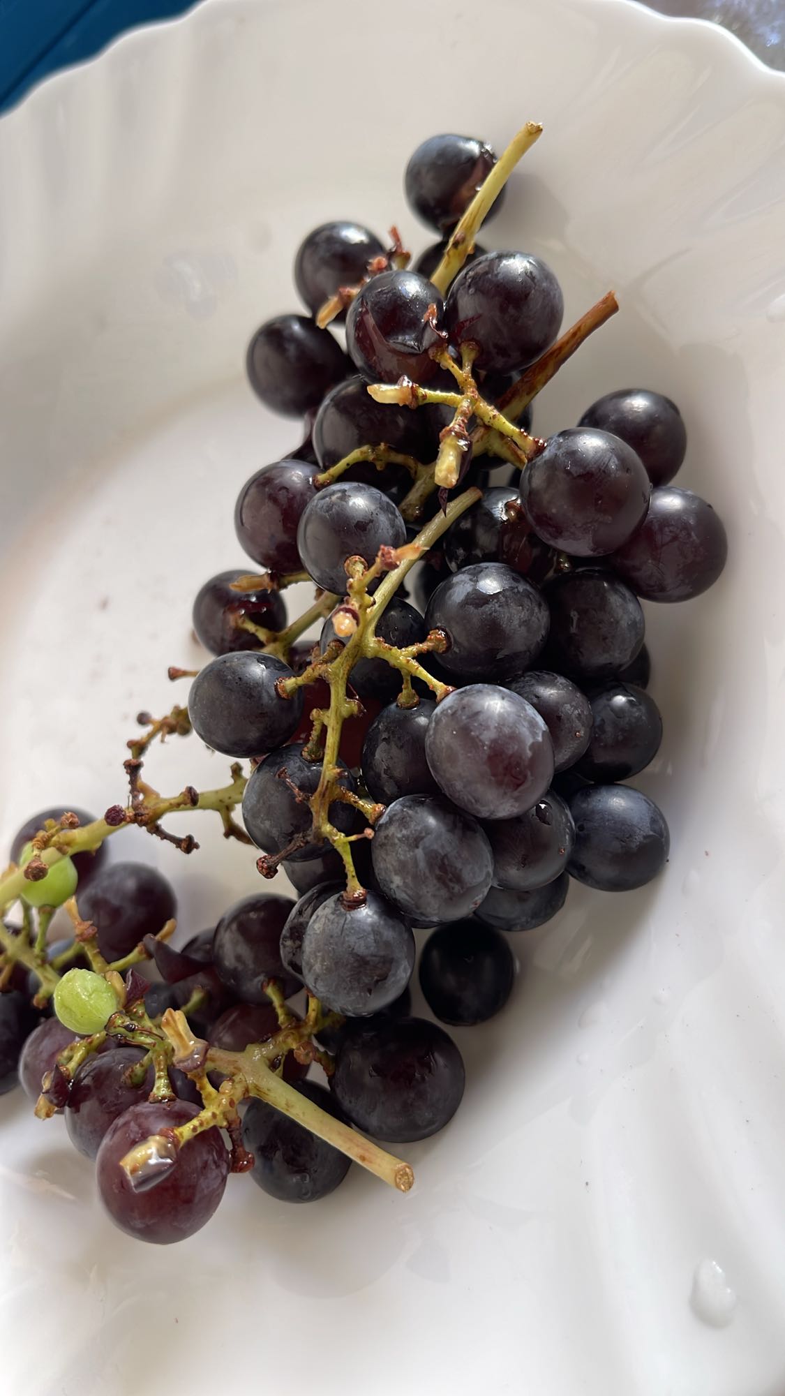 чёрный виноград