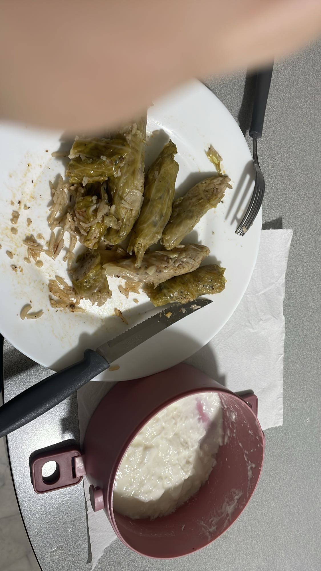 Stuffed cabbage and yogurt