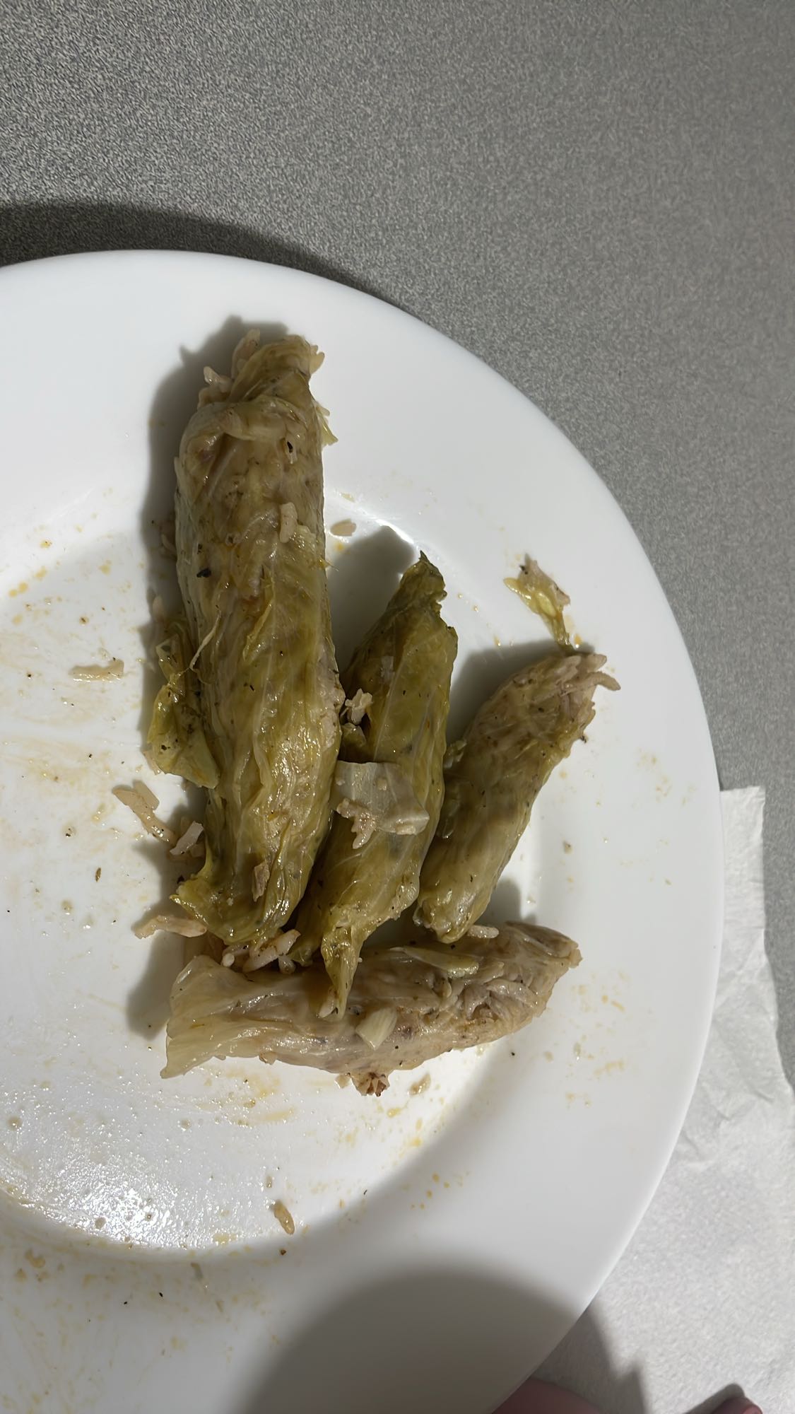 Stuffed cabbage rolls