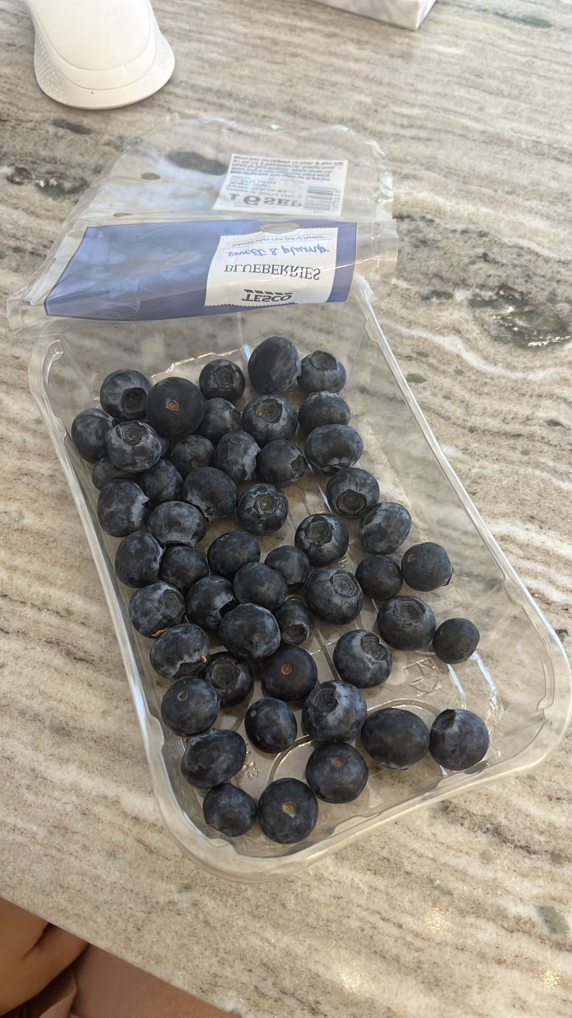 Fresh Blueberries