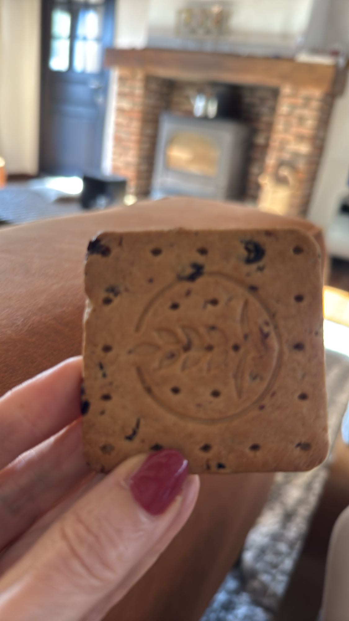 koekje met chocolade