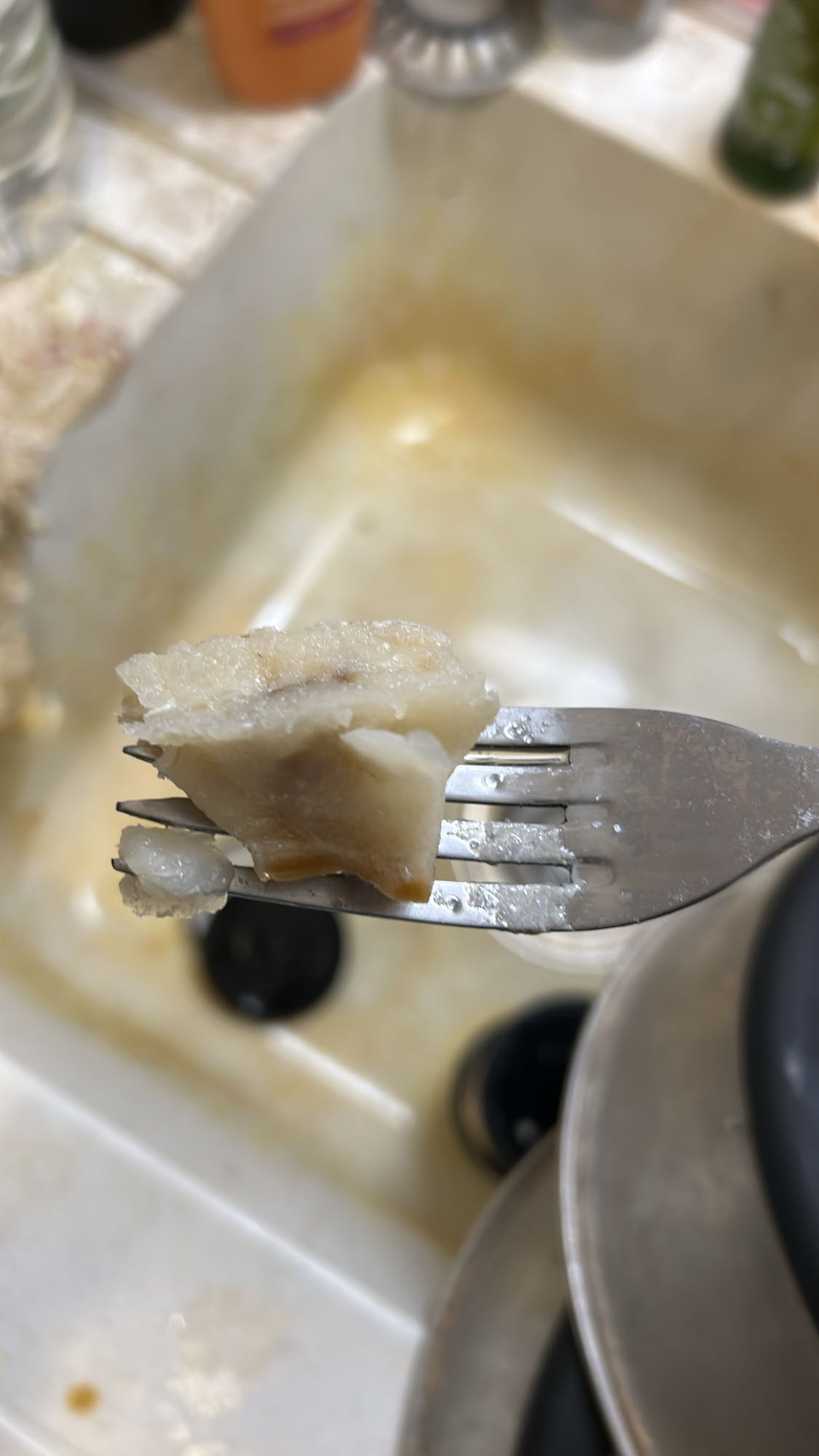 Morceau de poisson bouilli