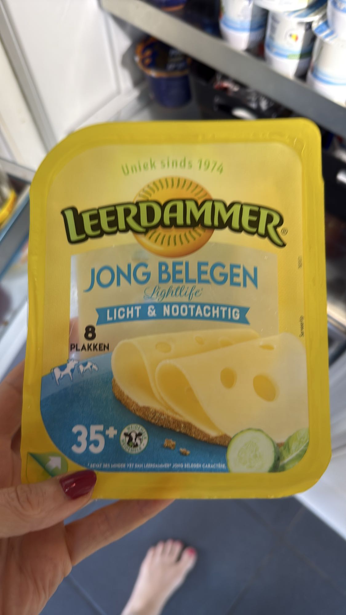 Leerdammer kaasplakken