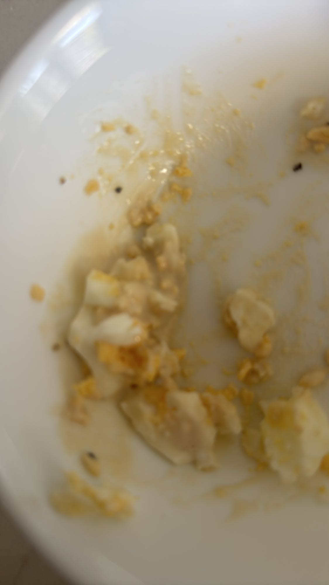 Egg Remnants