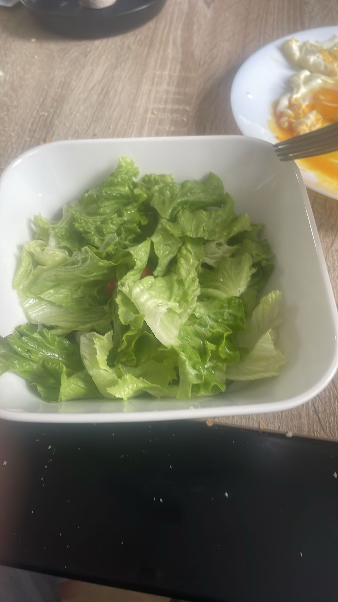 Salade verte simple