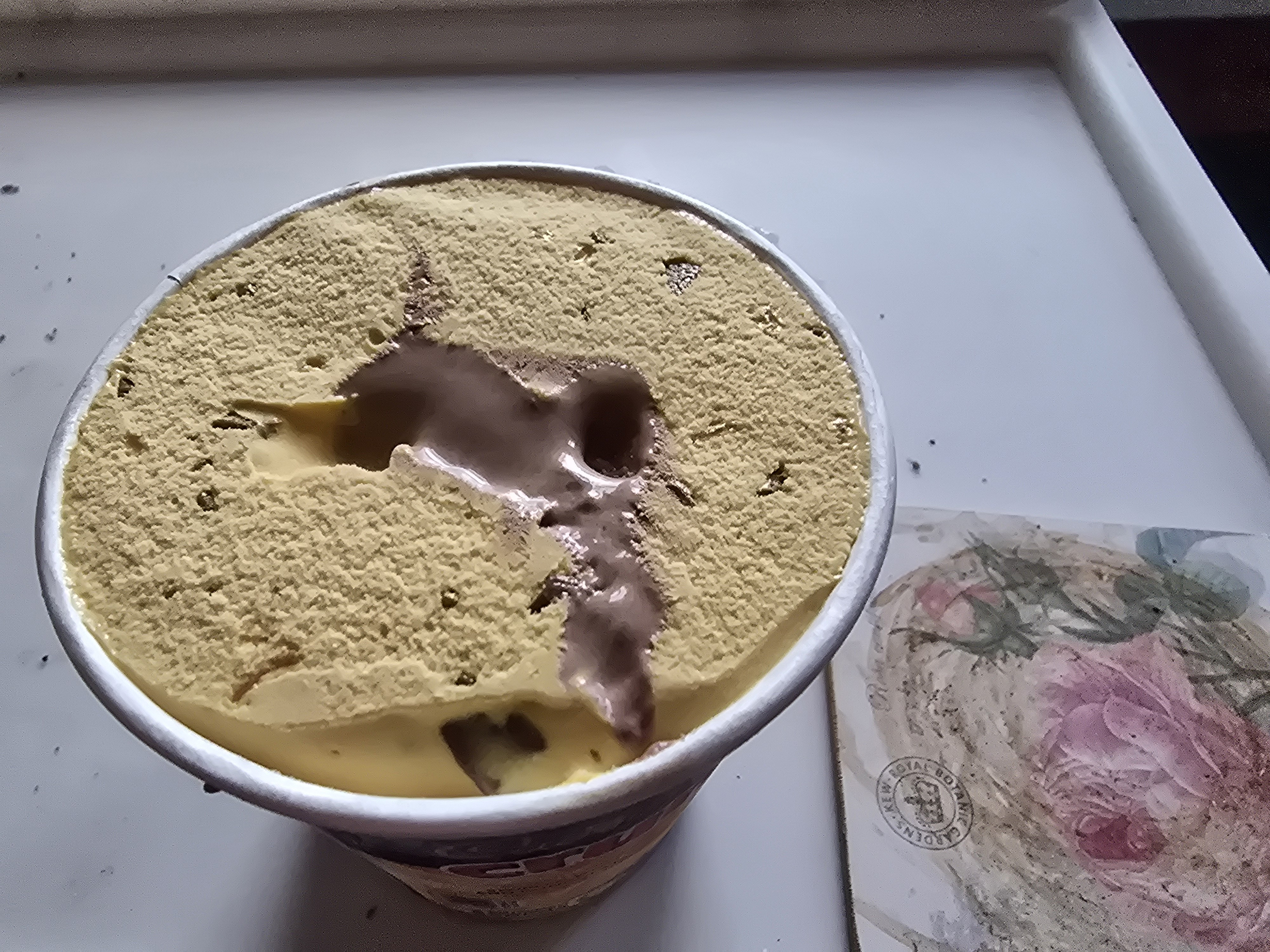 Vanilla Chocolate Ice Cream