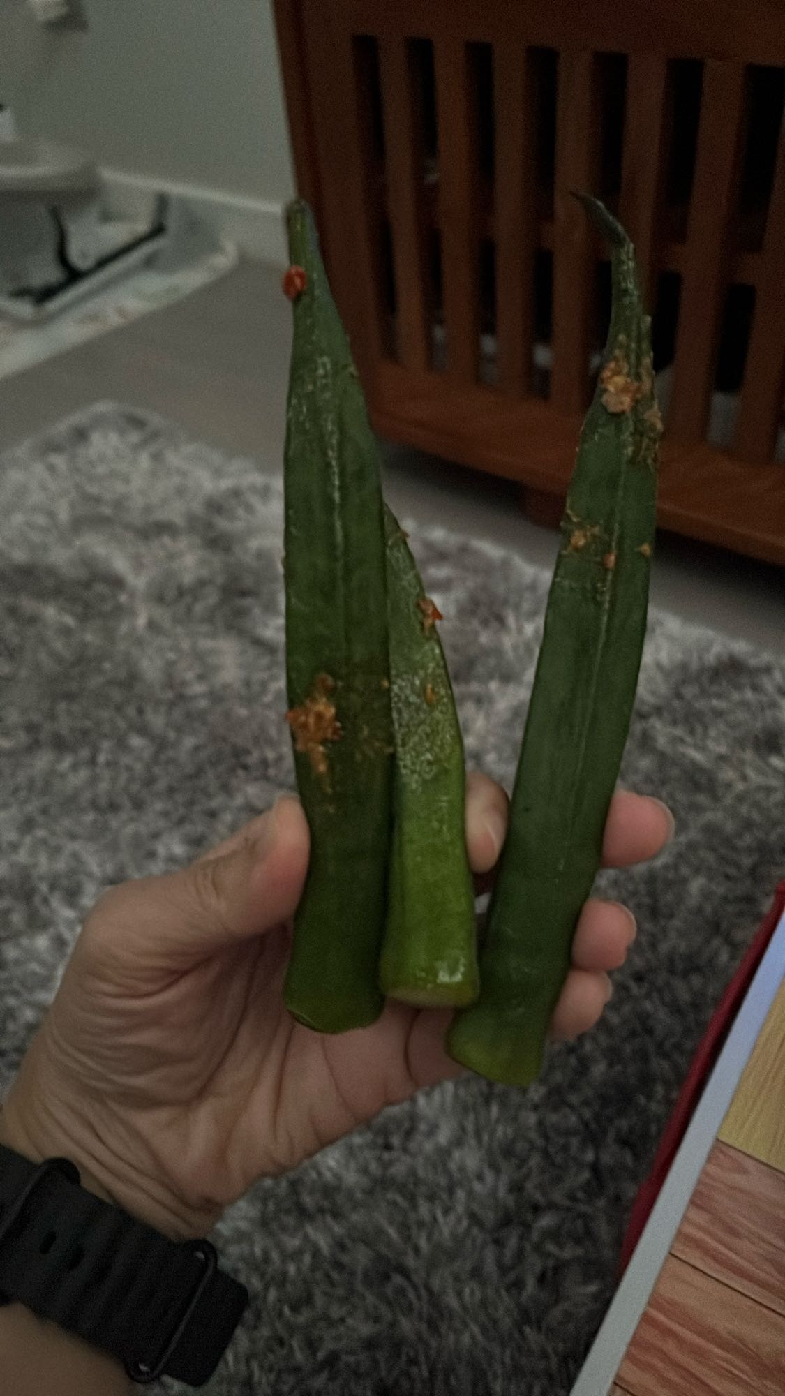 Steamed okra