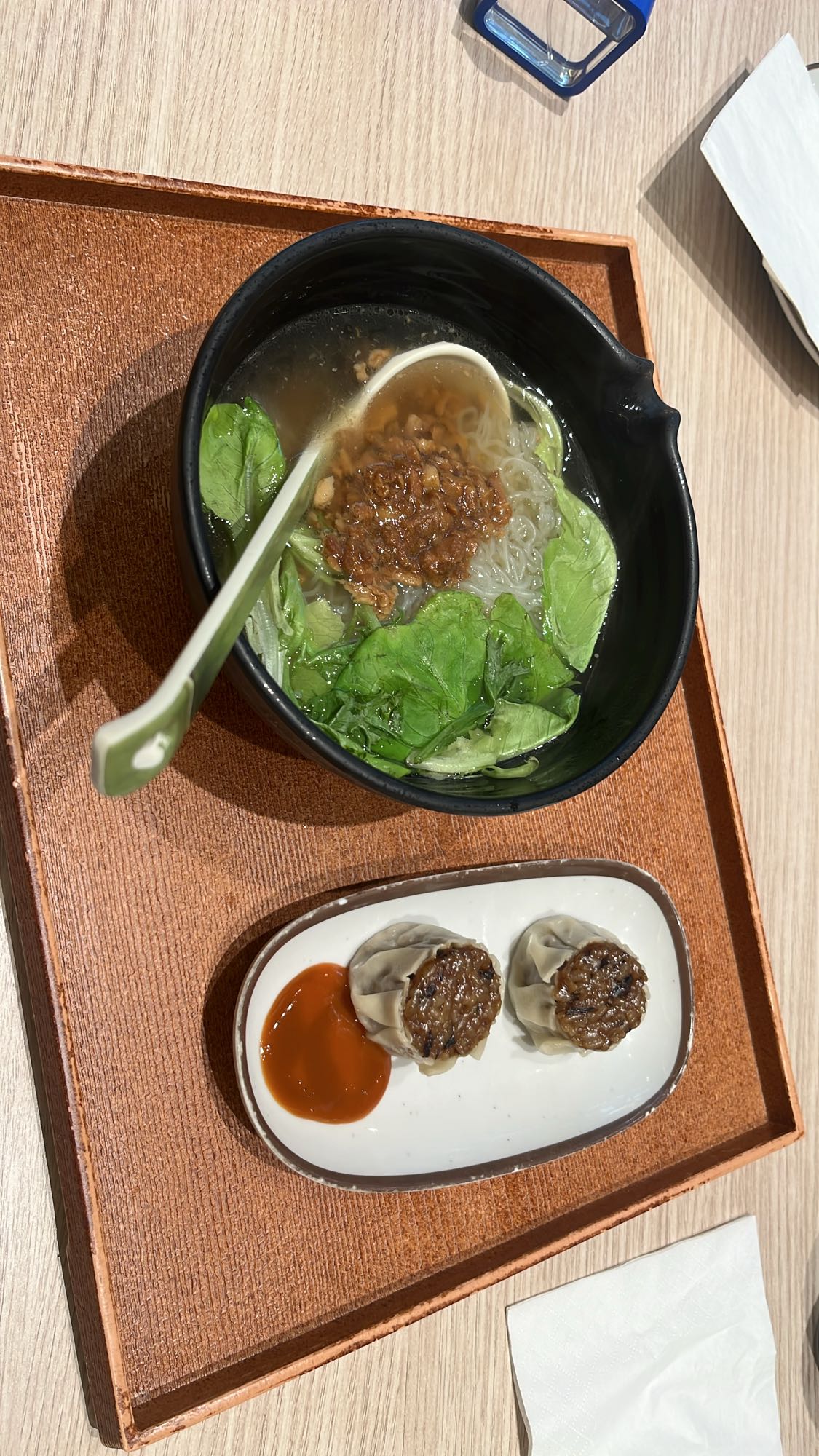 noodle soup with dumplings