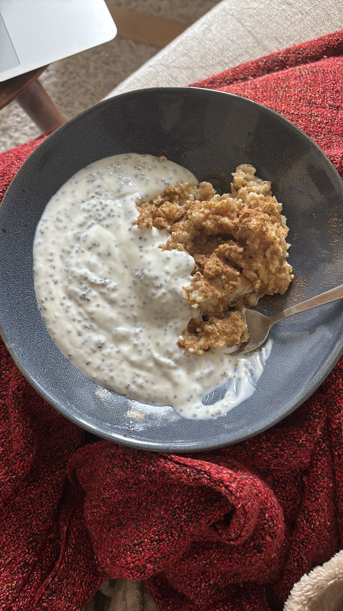 Havregrynsgröt med yoghurt