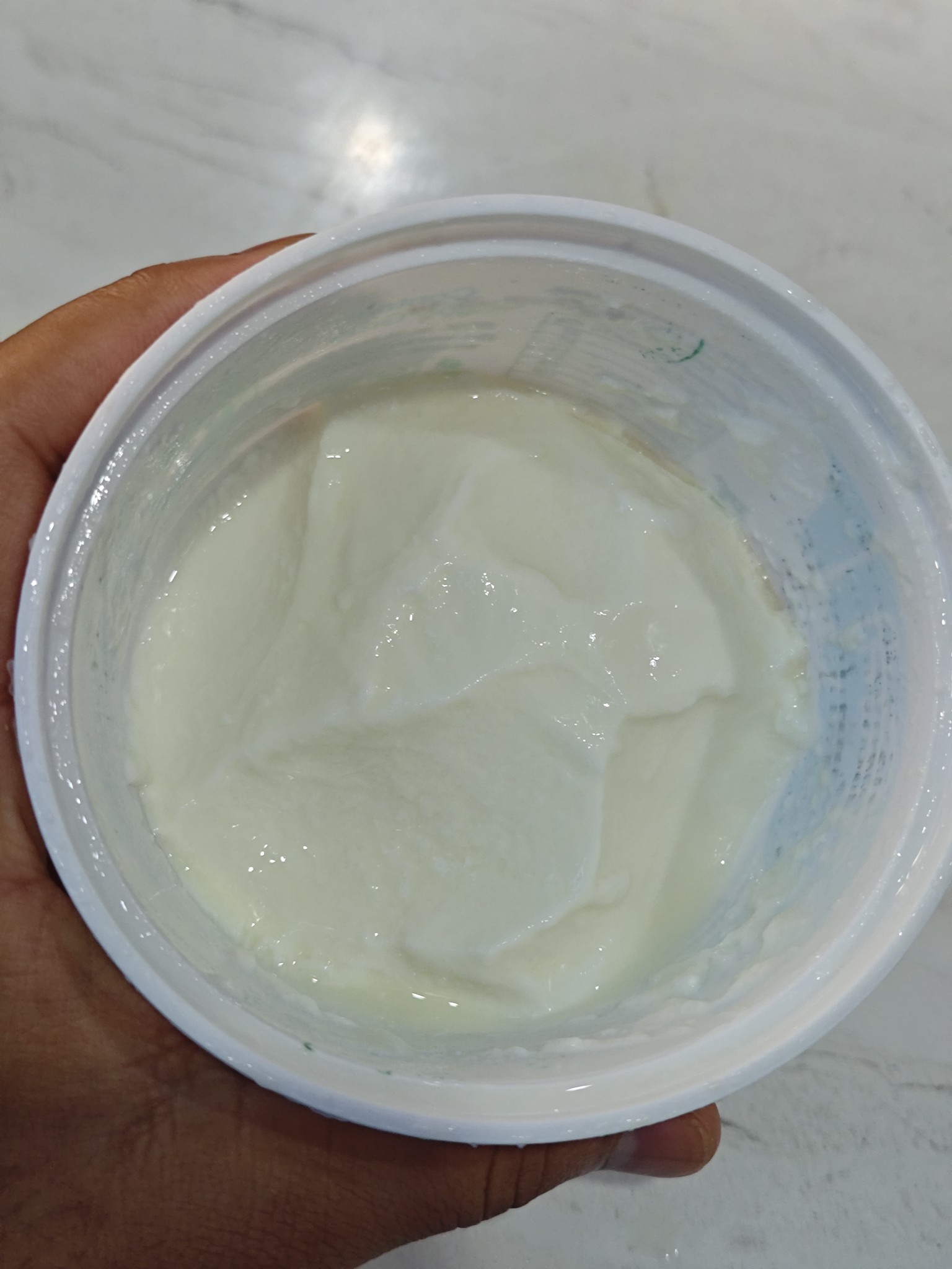 Plain Greek Yogurt
