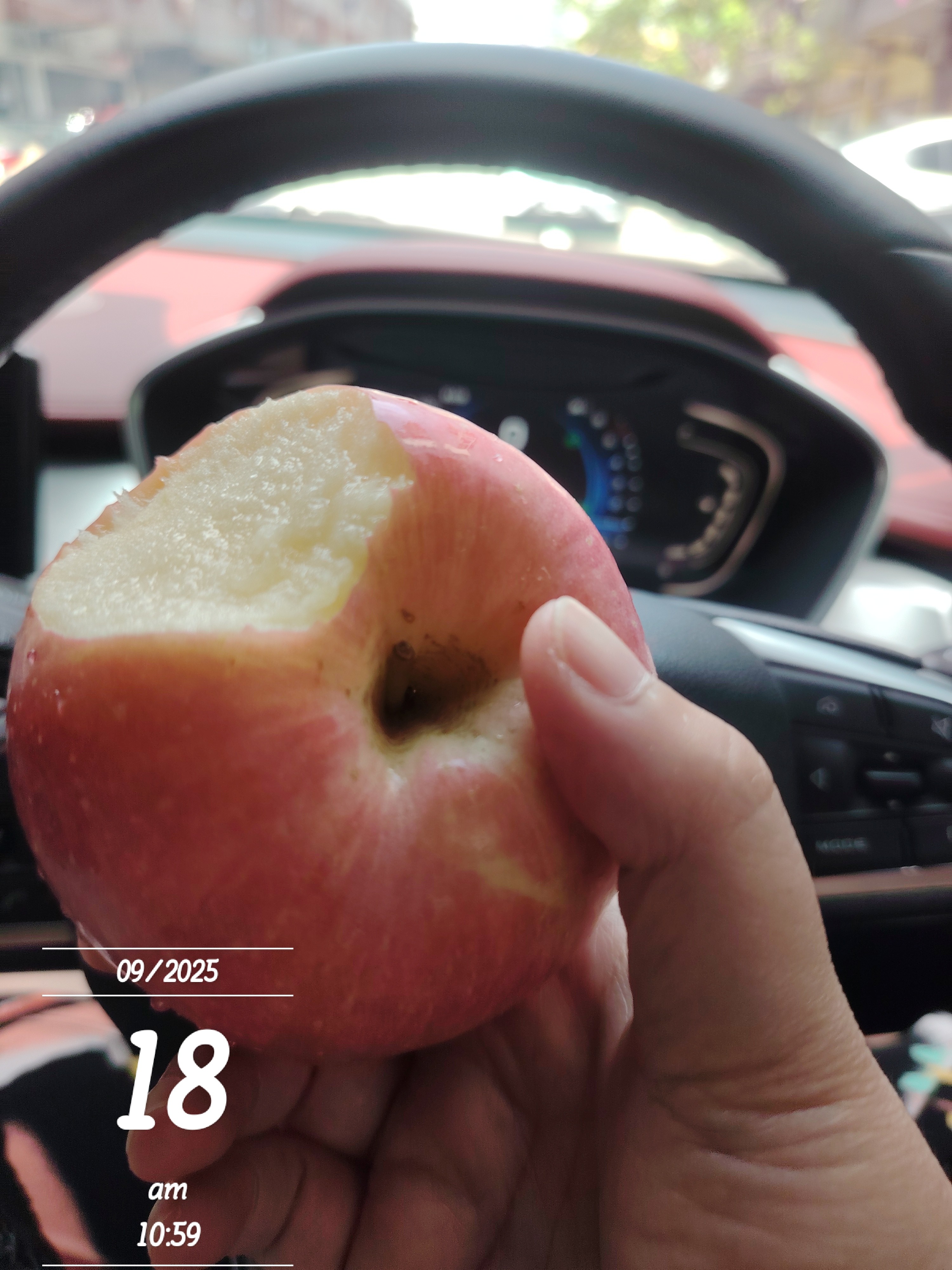 Apple Snack