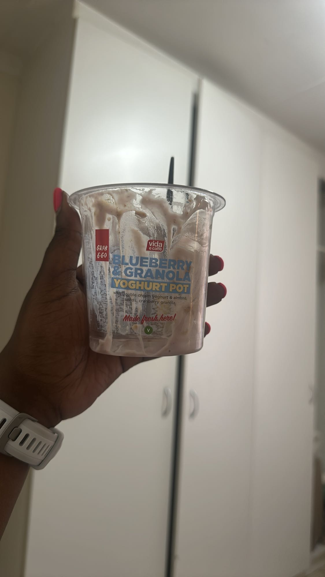 Blueberry Granola Yogurt