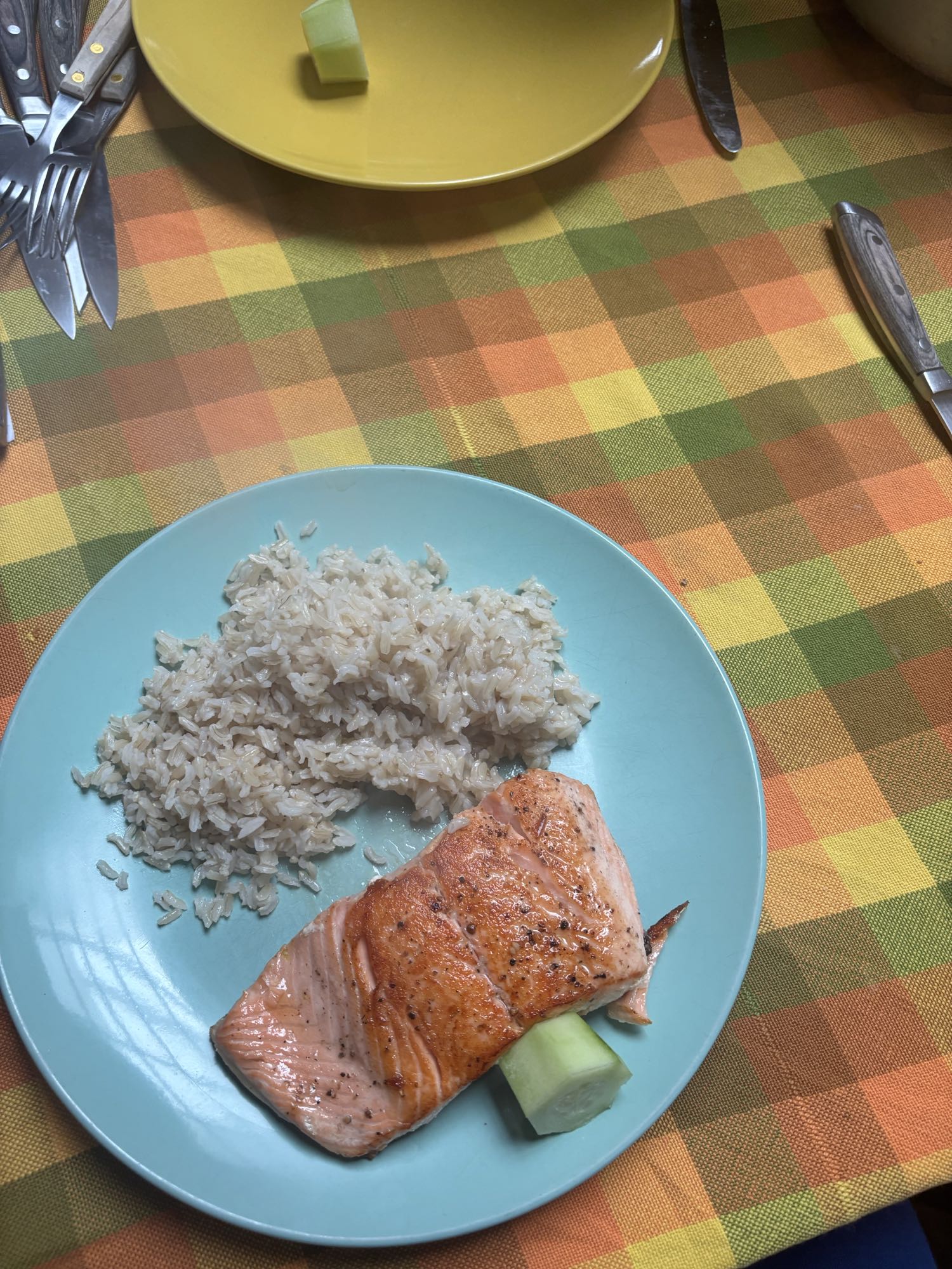 Salmón con arroz integral