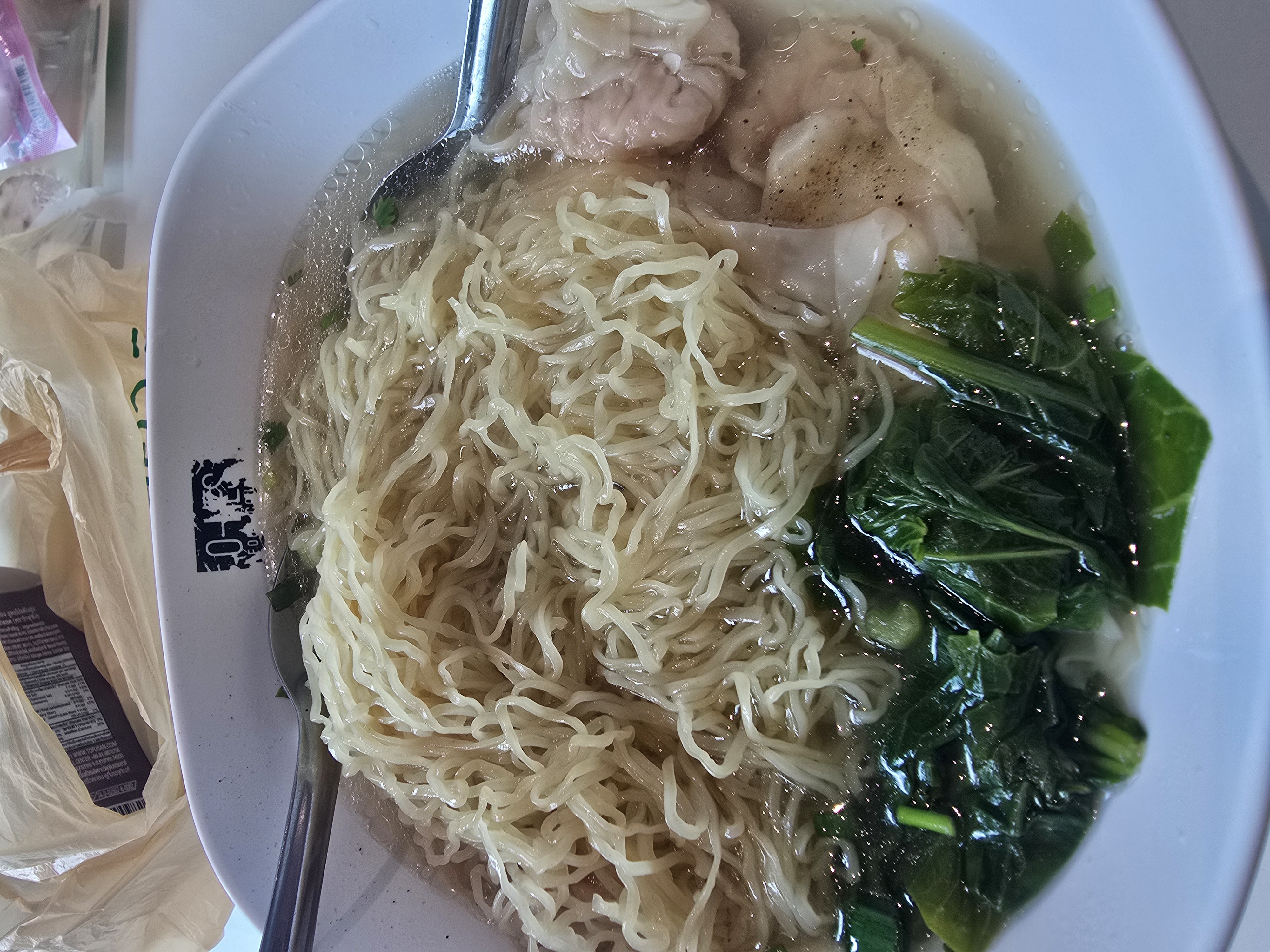 Wonton noodle soup