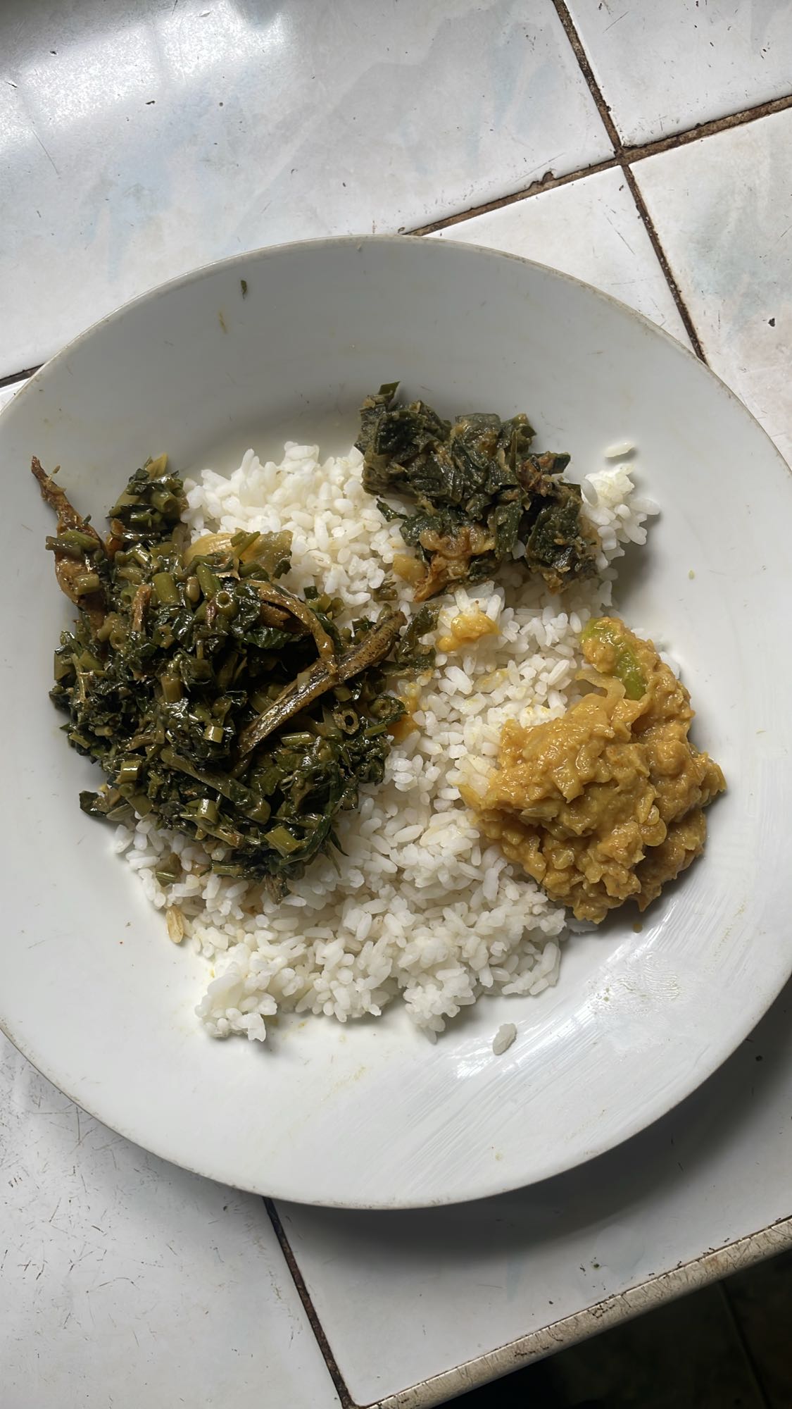 Rice with vegetables & sauce