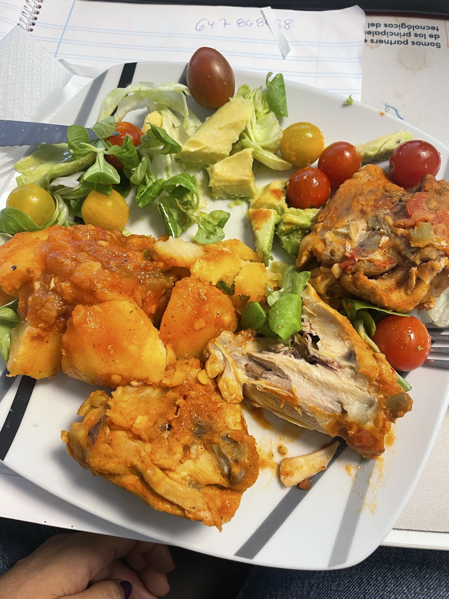 Pollo guisado con ensalada