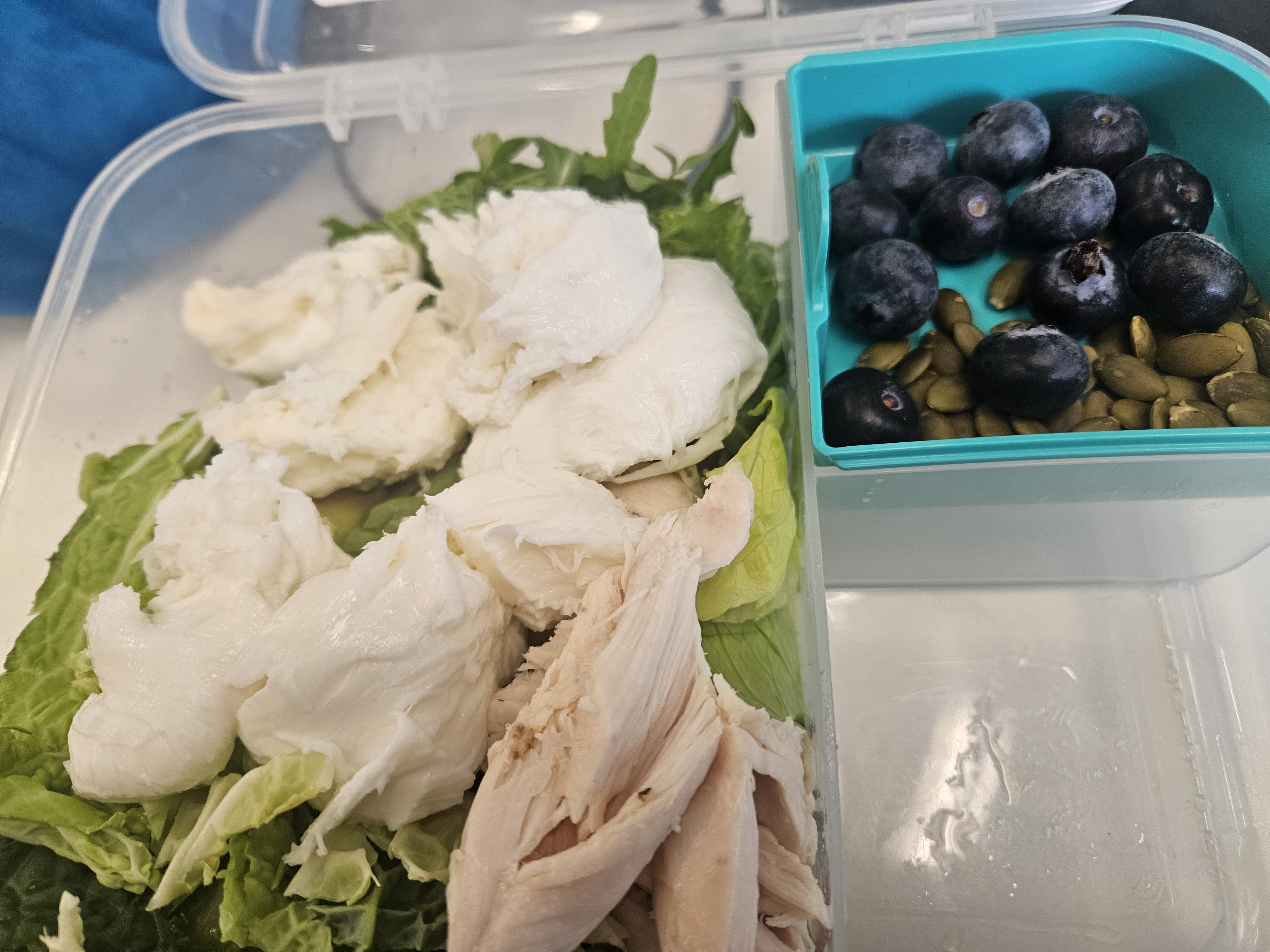 Chicken Salad with Mozzarella, Avocado, and Berries