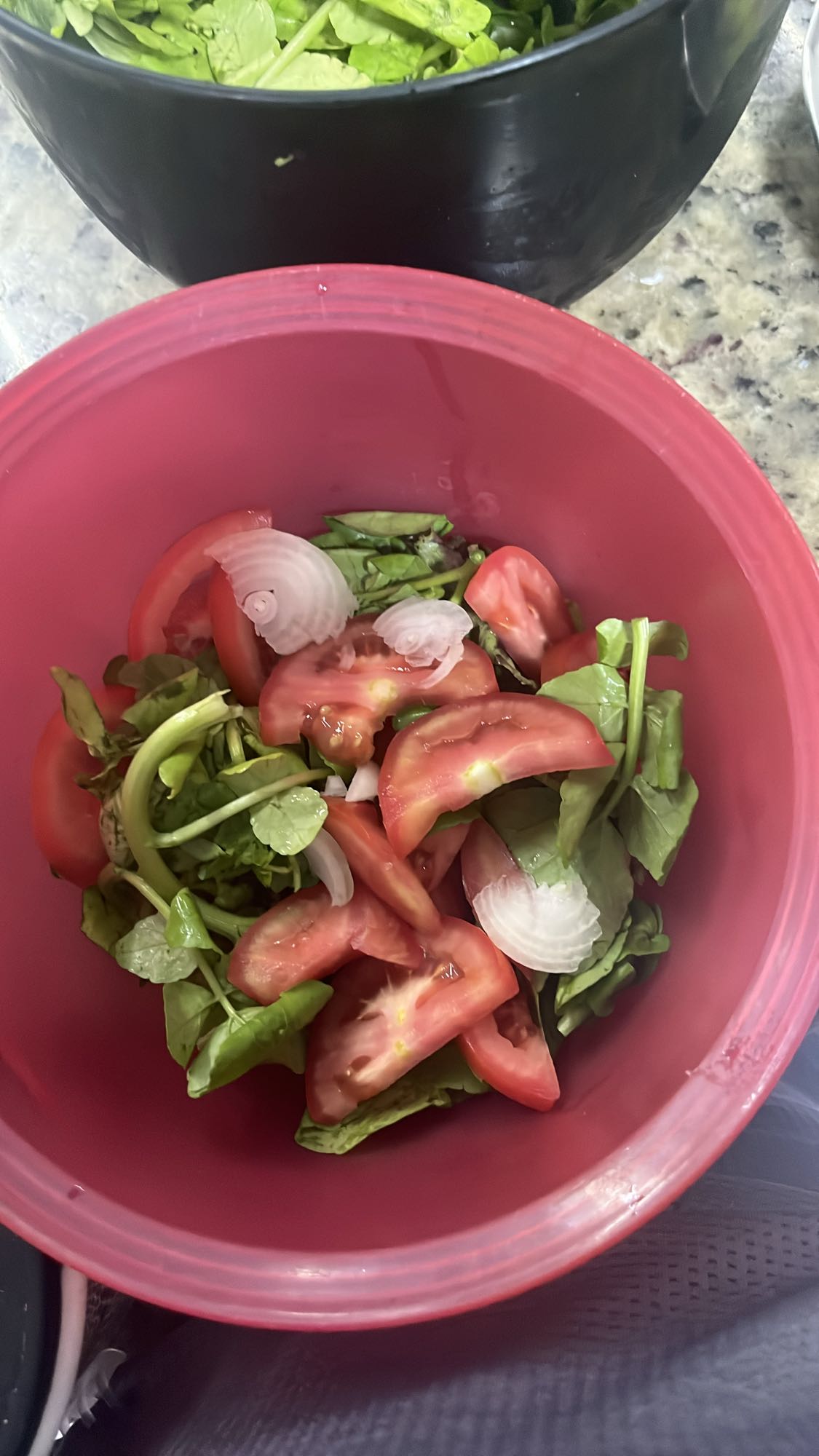 Salada fresca simples