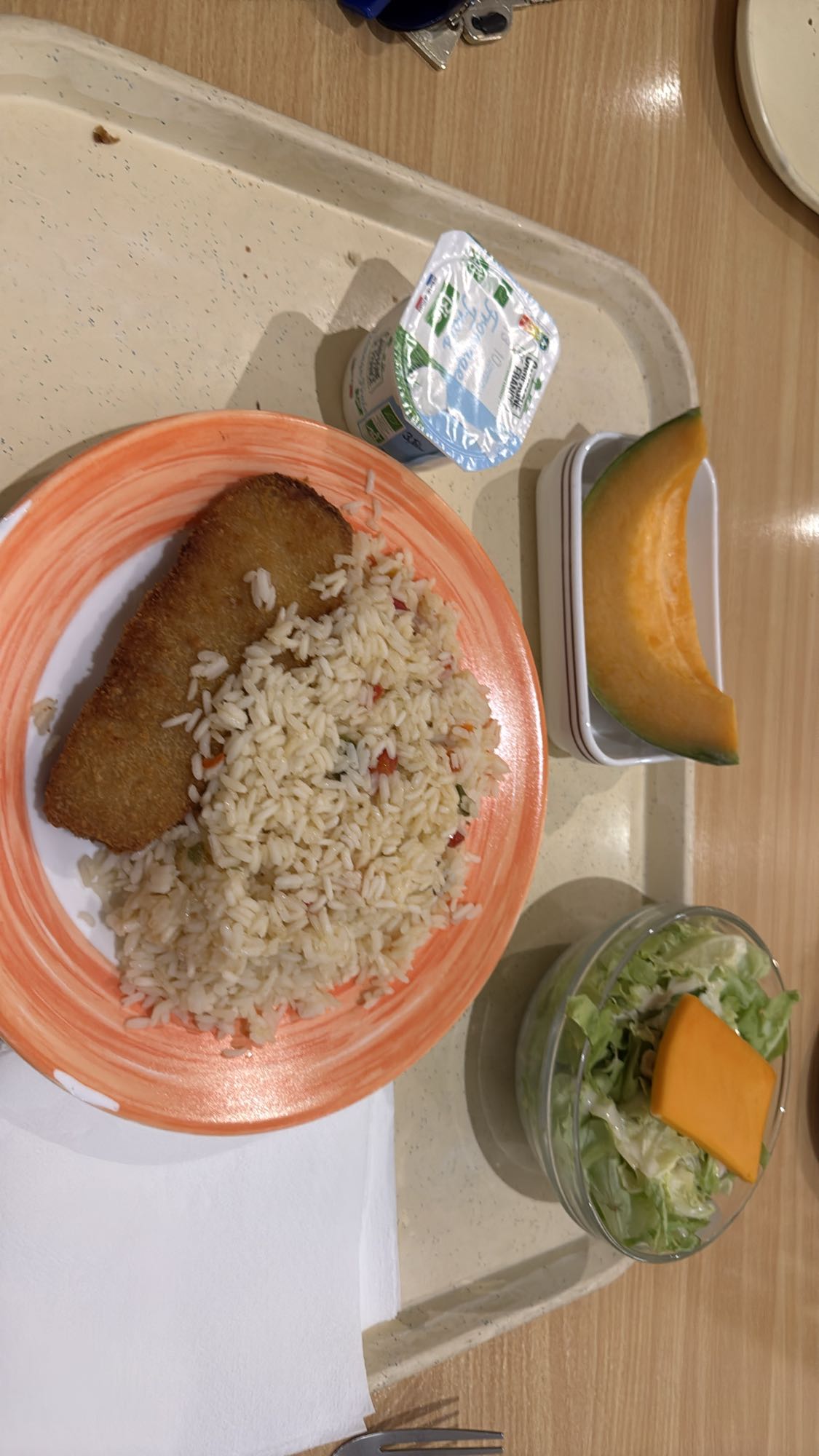 Riz, poisson pané, salade