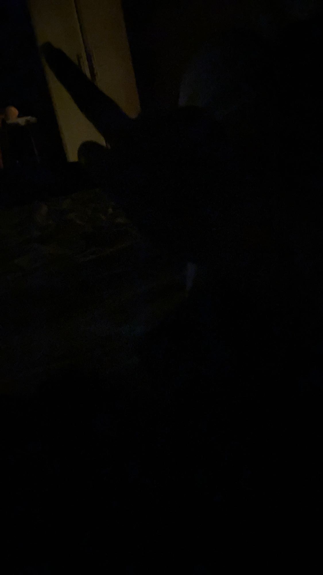 Невідомо (занадто темно)