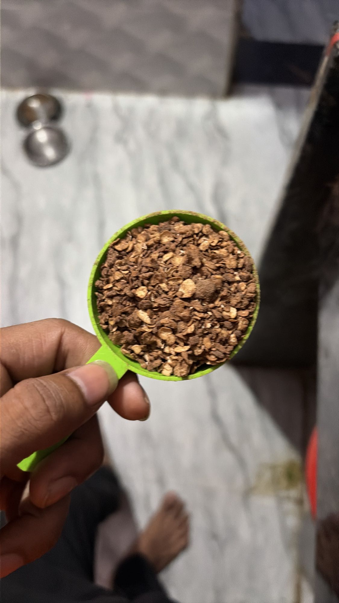 Chocolate granola scoop