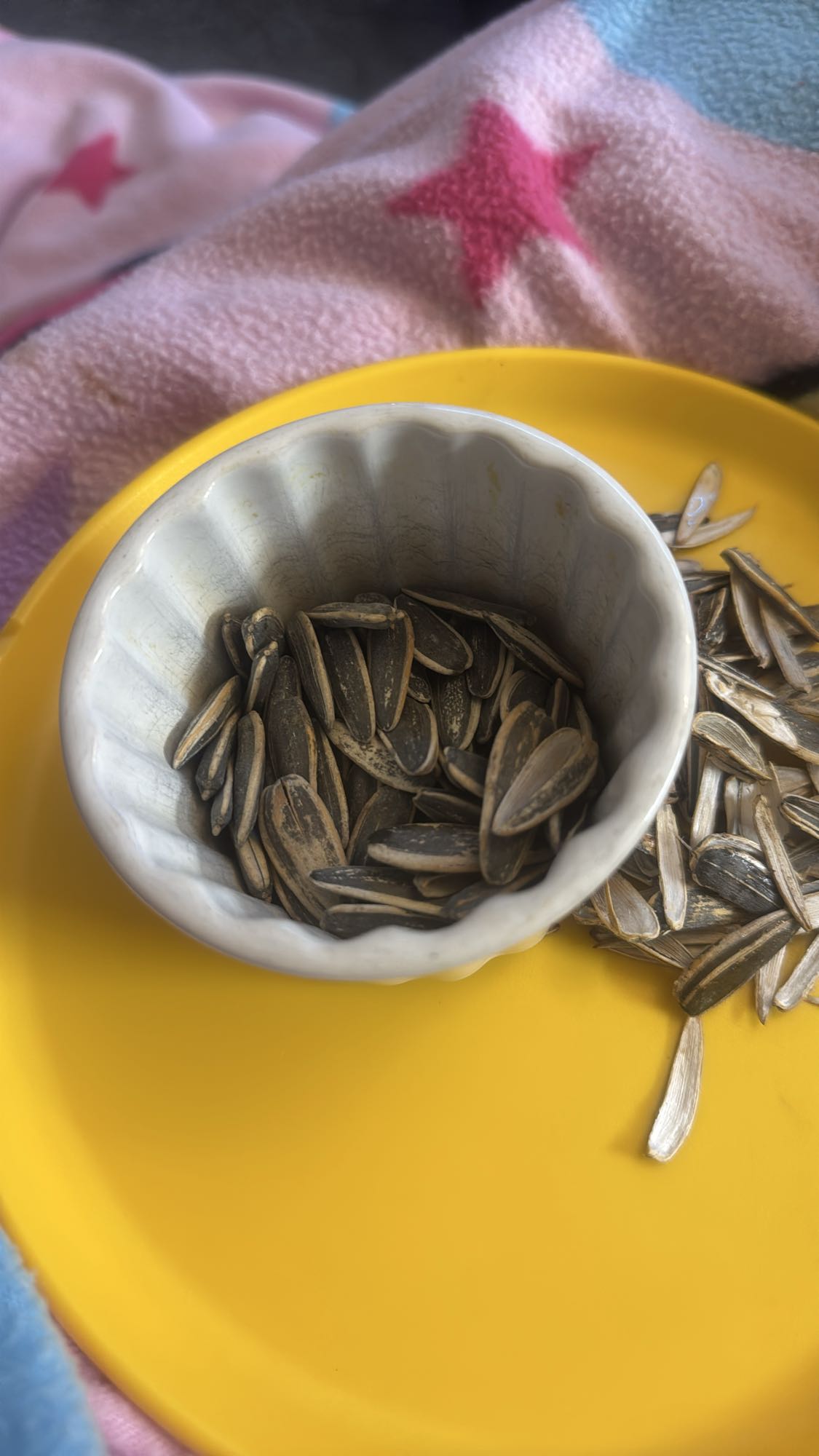 Solrosfrön mellanmål