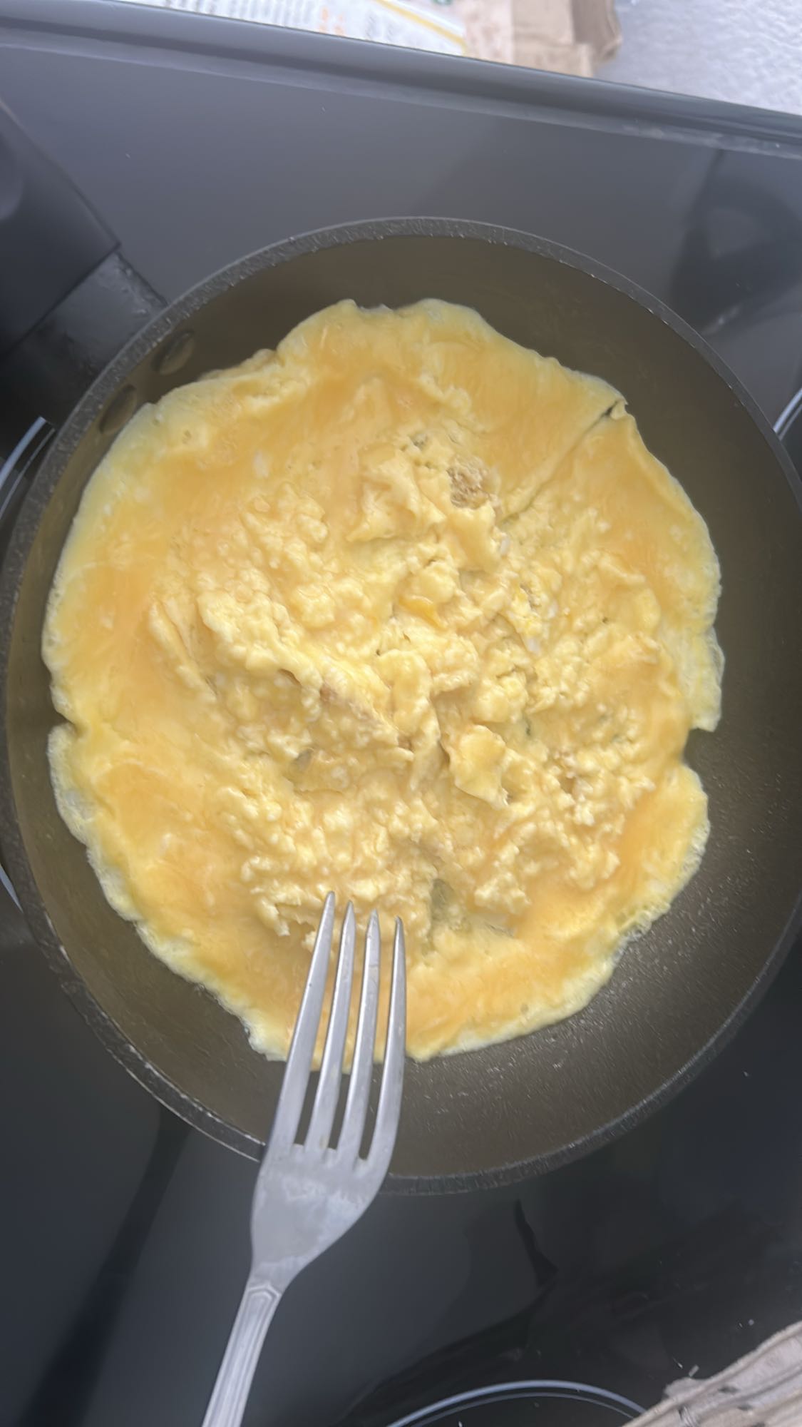 omelette nature